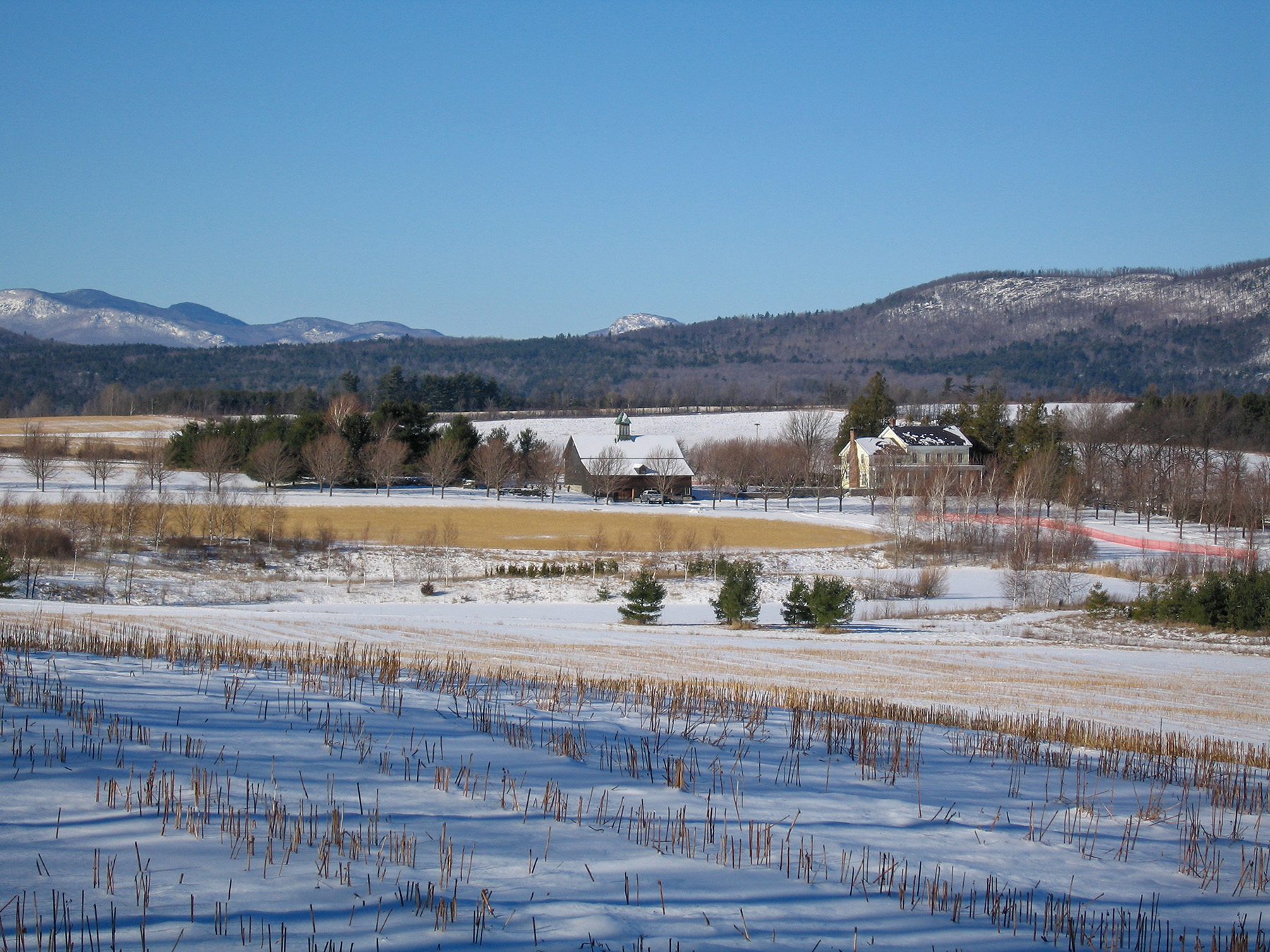 Lewis Family Farm property picture 42 of 51