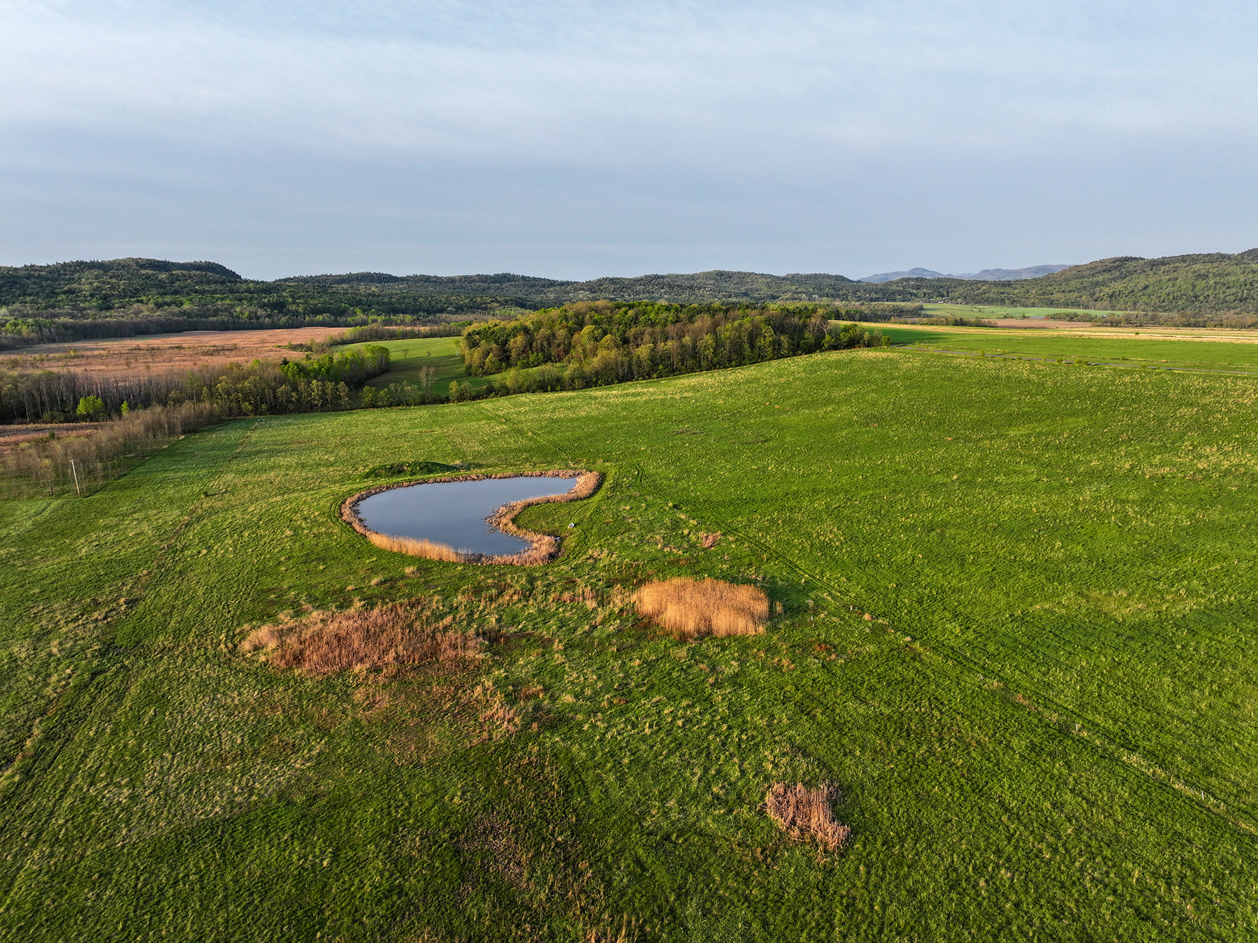 Lewis Family Farm property picture 16 of 51