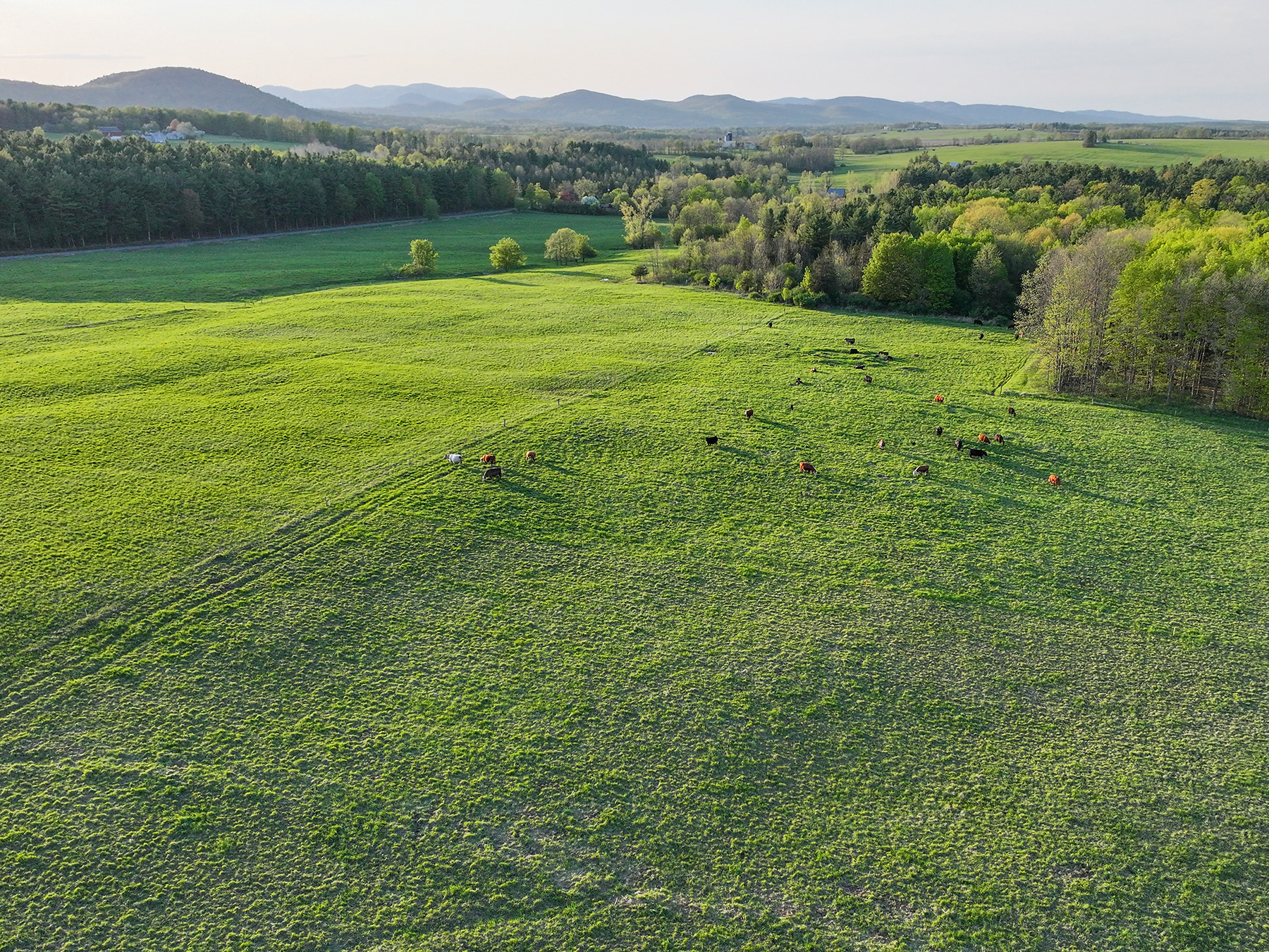 Lewis Family Farm property picture 3 of 51