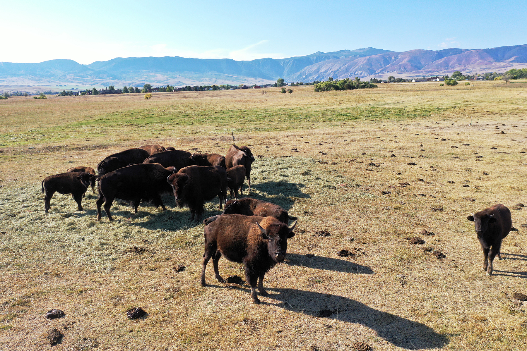 Big Horn Ranch property picture 14 of 19