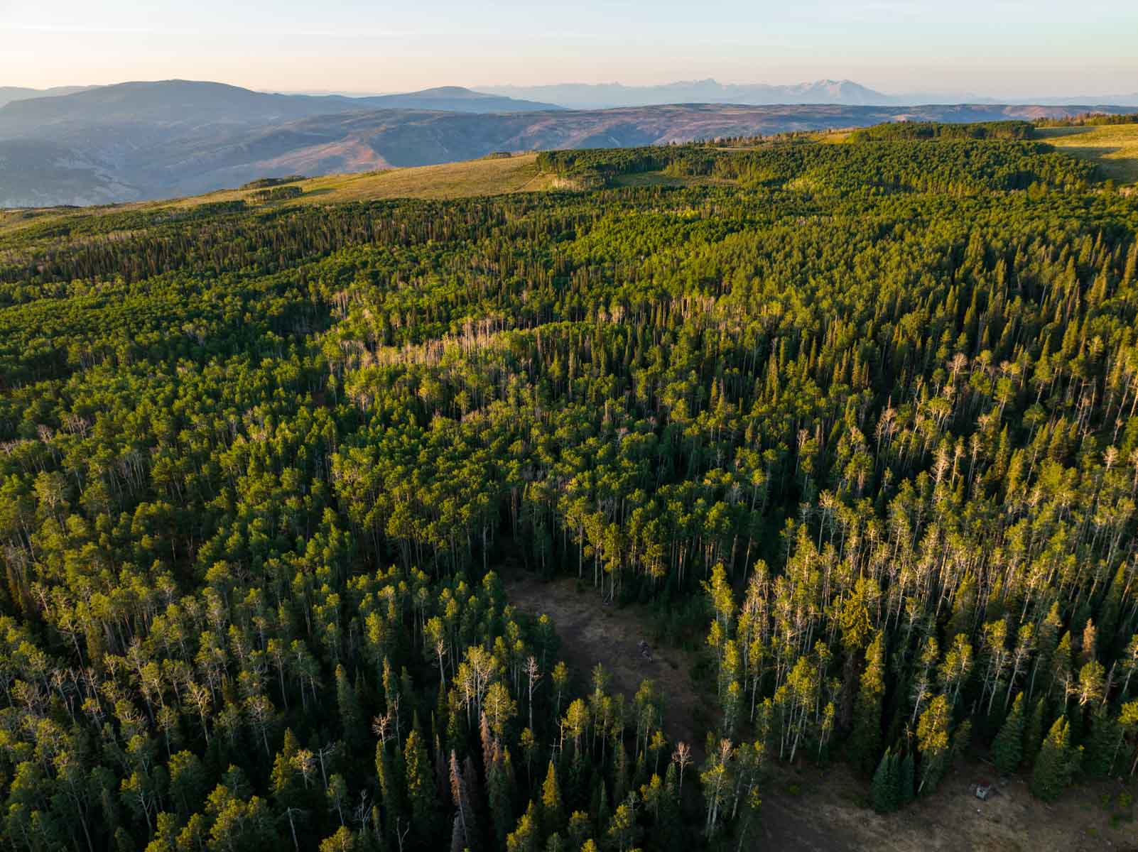 Royal Elk Ranch property picture 12 of 66