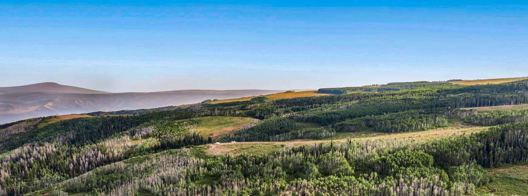 Royal Elk Ranch property picture 2 of 66