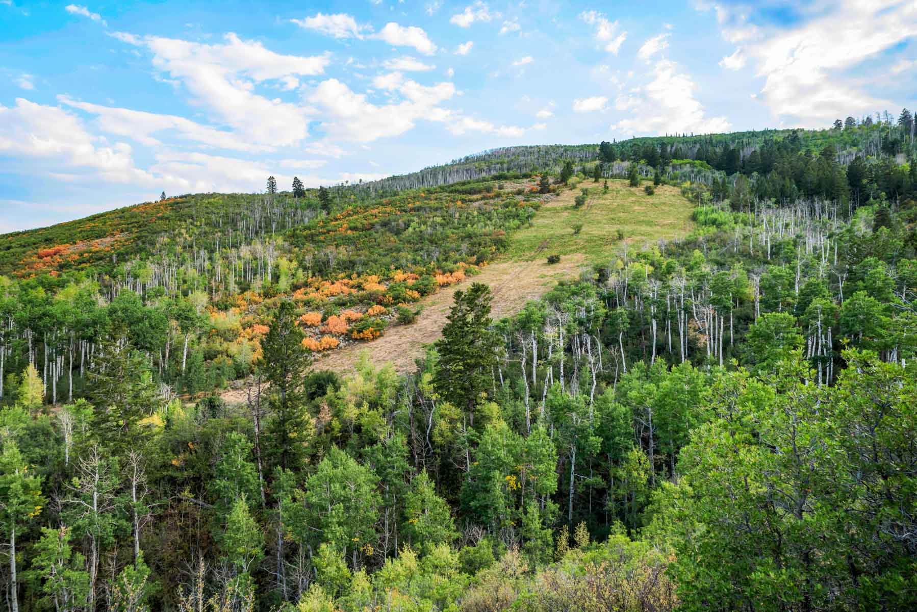 Royal Elk Ranch property picture 6 of 66