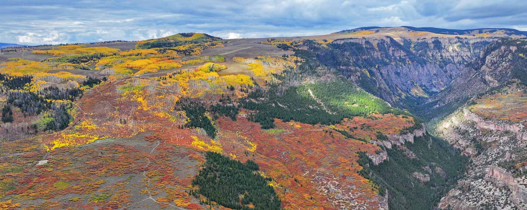 Royal Elk Ranch property picture 1 of 66