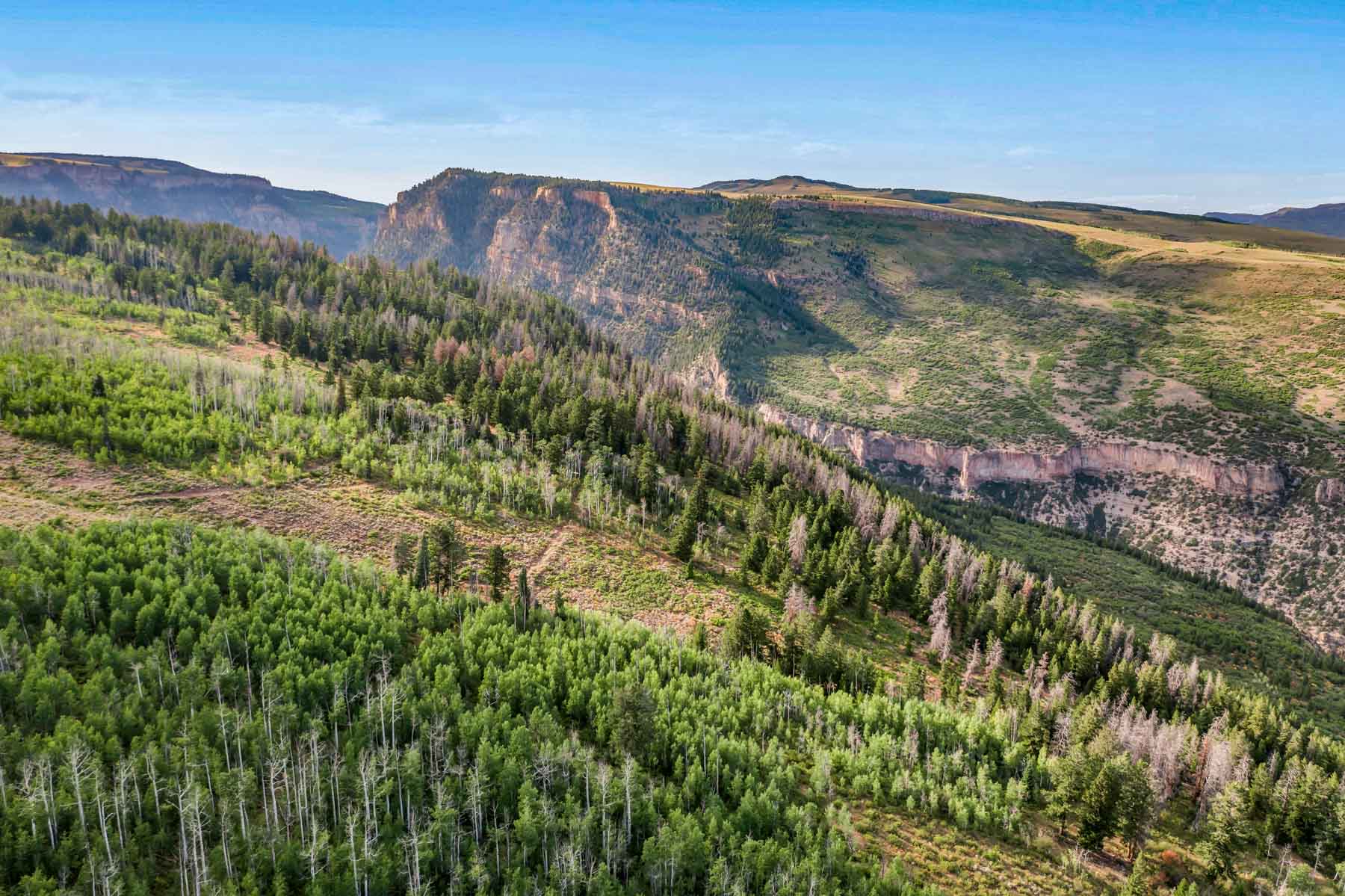 Royal Elk Ranch property picture 4 of 66