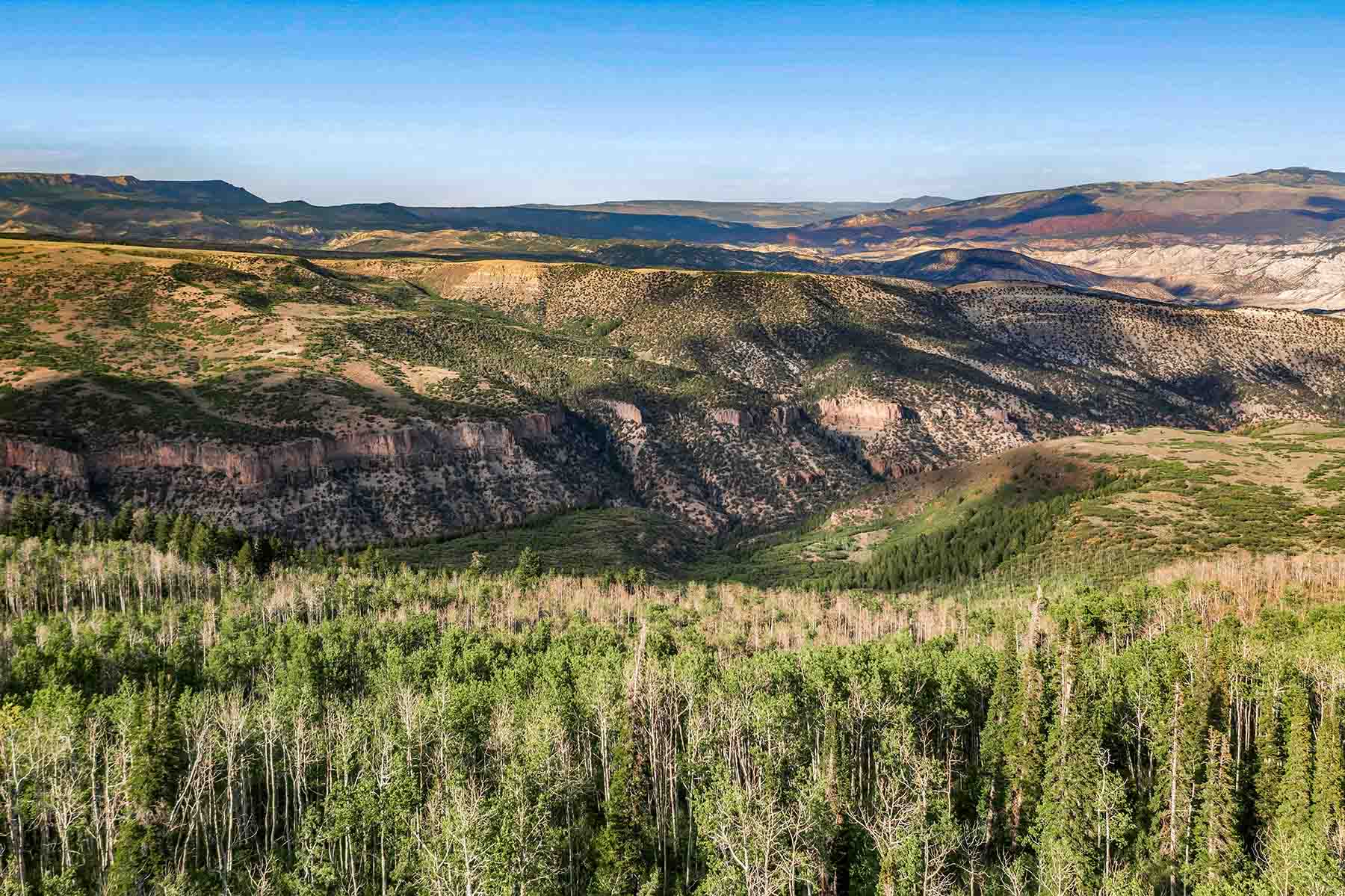 Royal Elk Ranch property picture 16 of 66