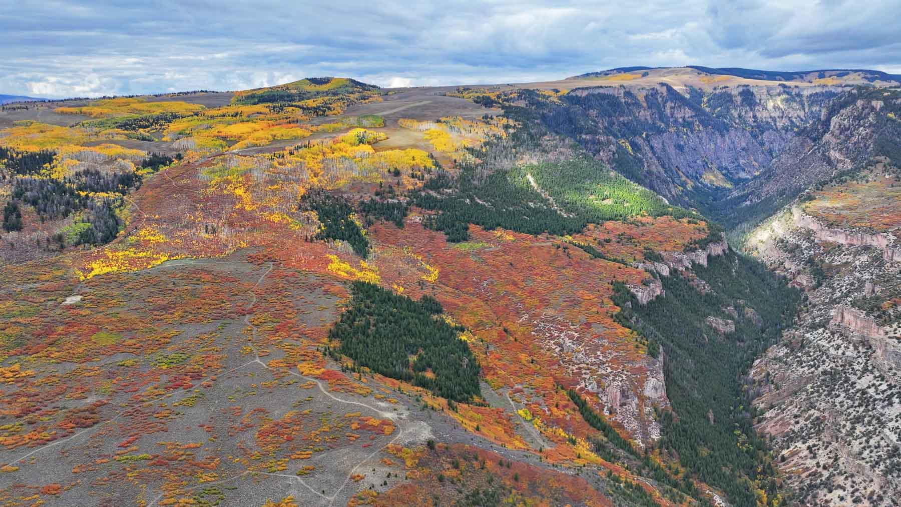 Royal Elk Ranch property picture 39 of 66