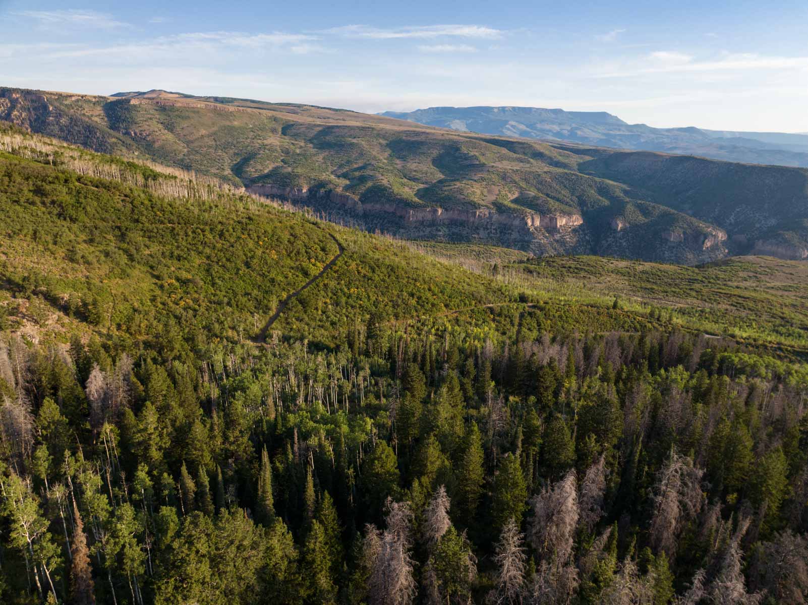 Royal Elk Ranch property picture 28 of 66