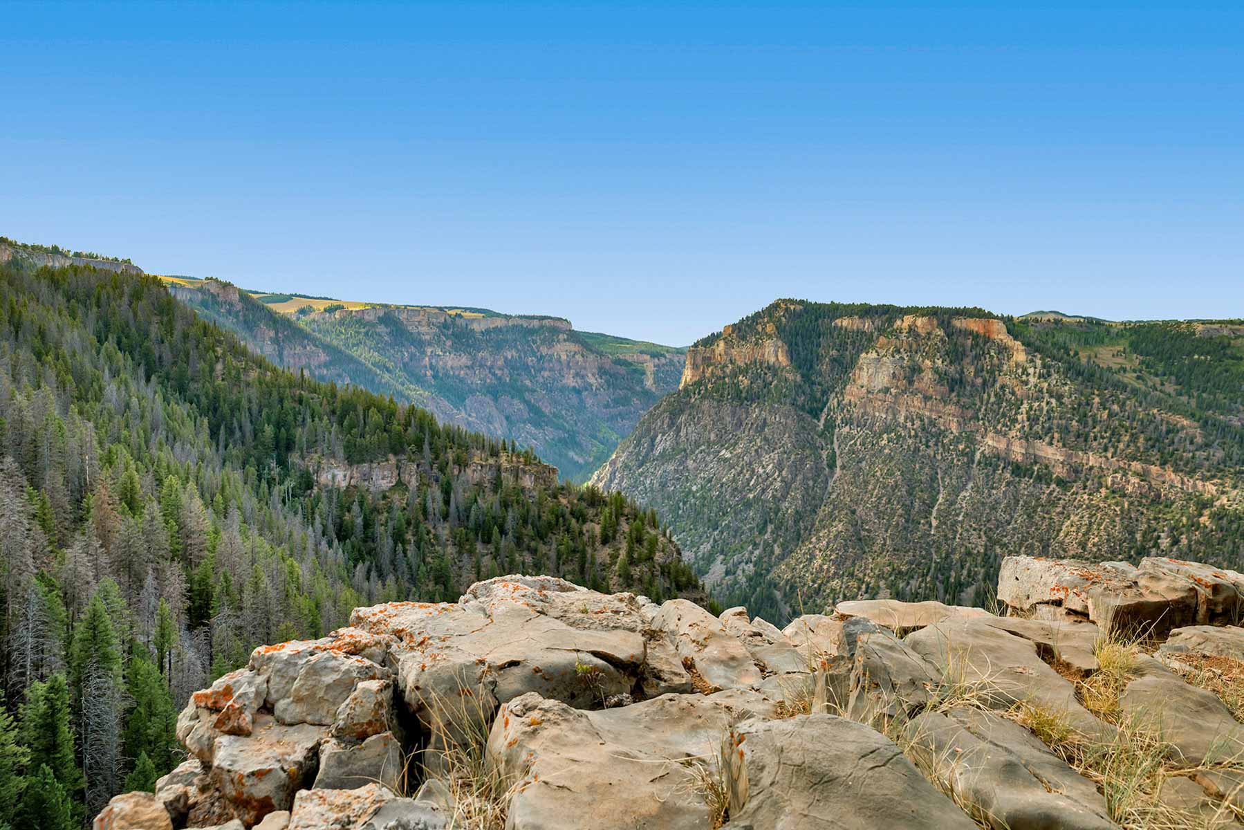 Royal Elk Ranch property picture 40 of 66