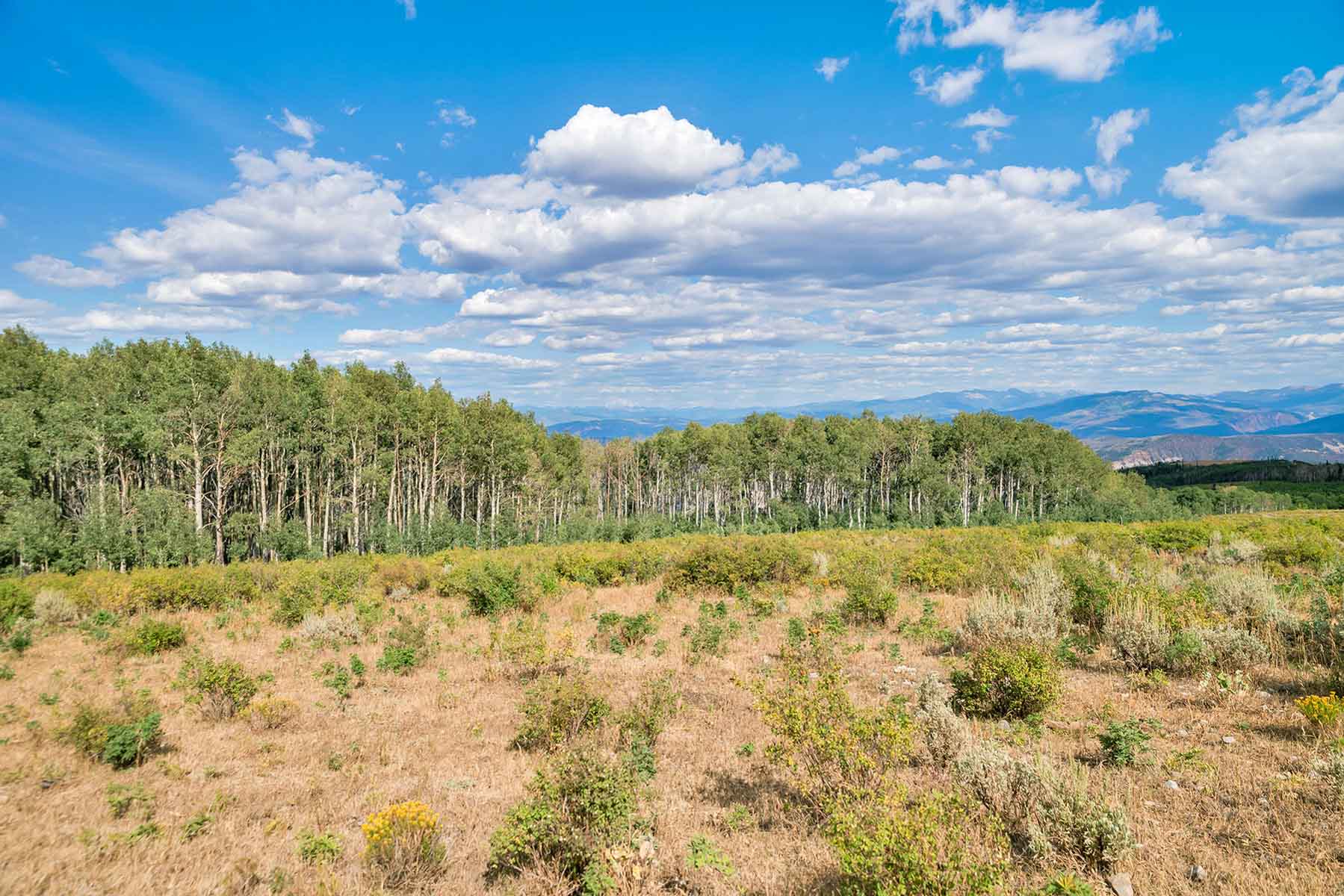 Royal Elk Ranch property picture 33 of 66