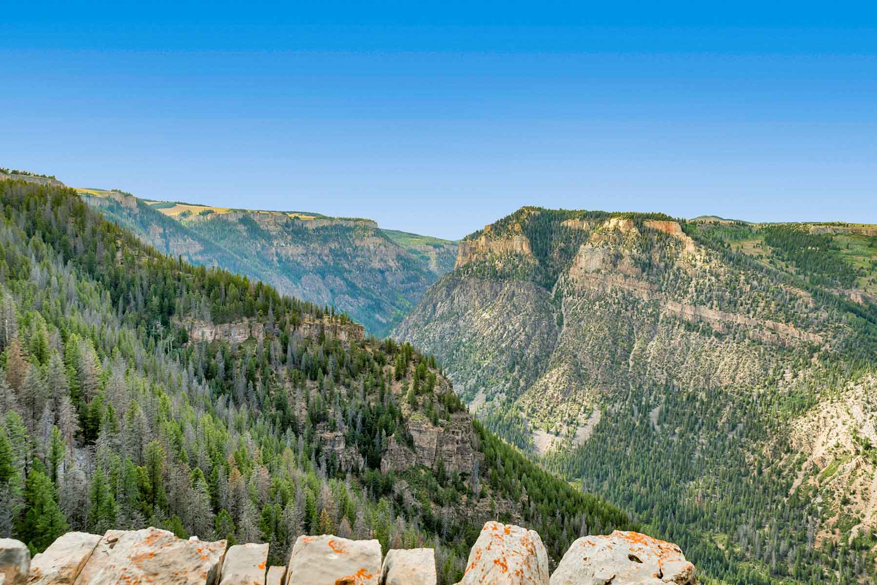 Royal Elk Ranch property picture 38 of 66