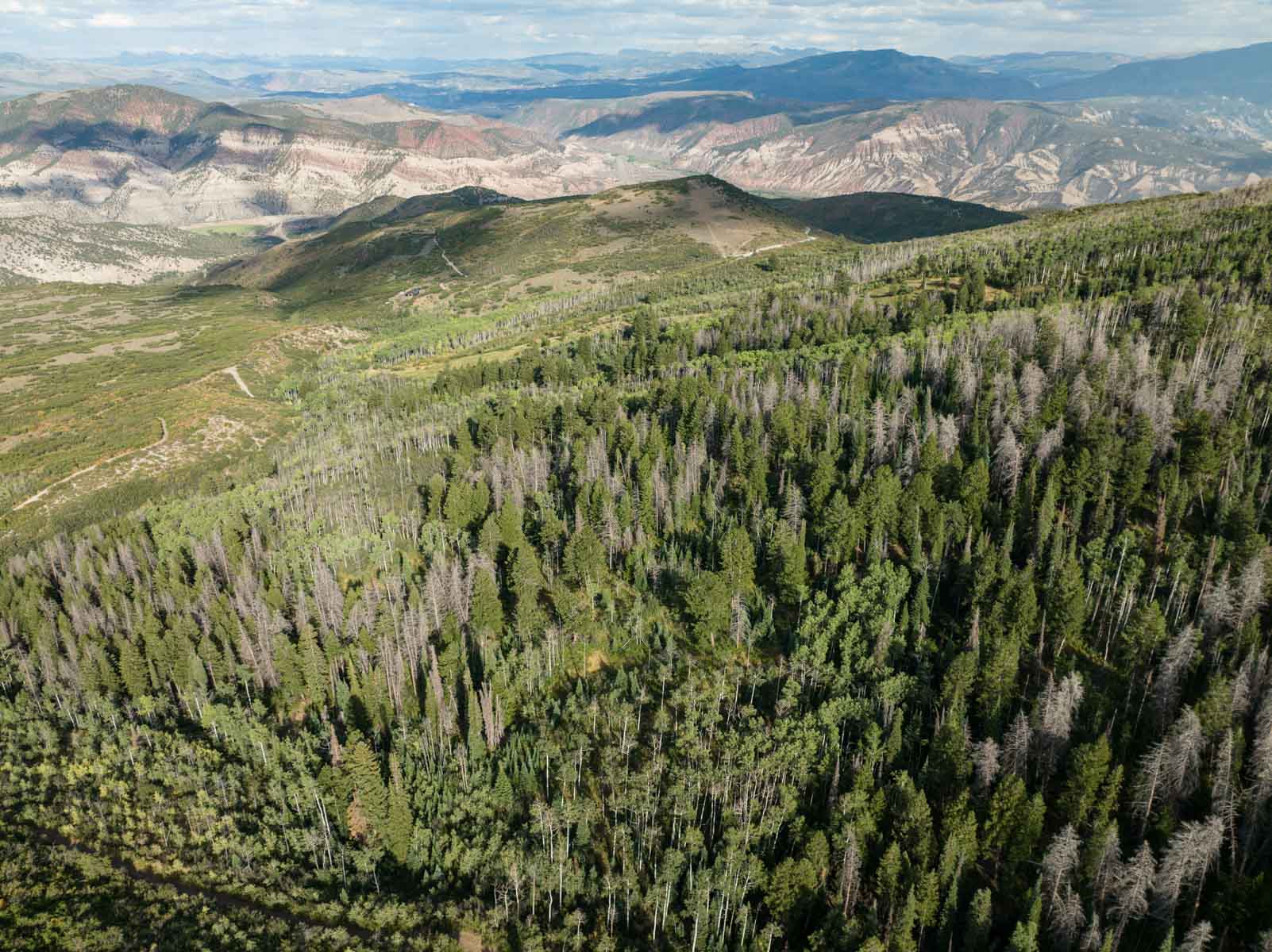 Royal Elk Ranch property picture 60 of 66