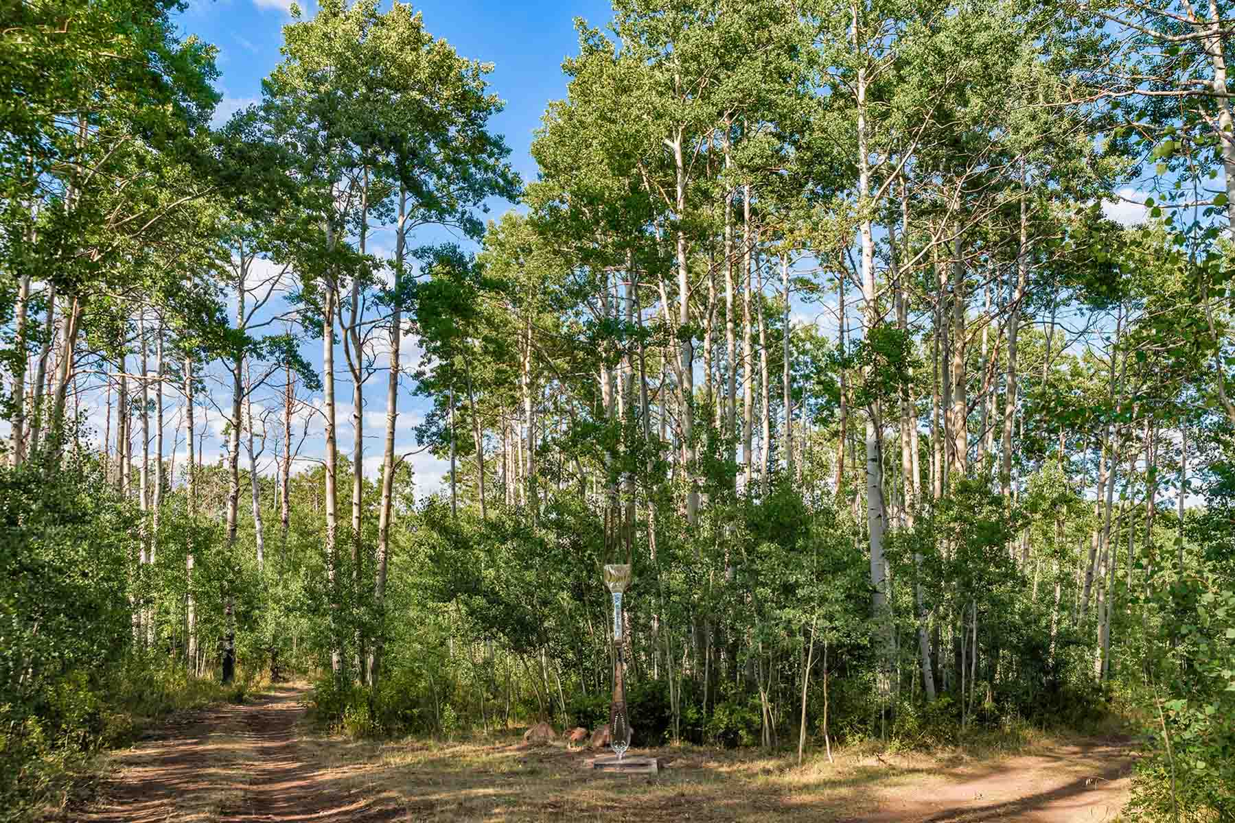 Royal Elk Ranch property picture 43 of 66