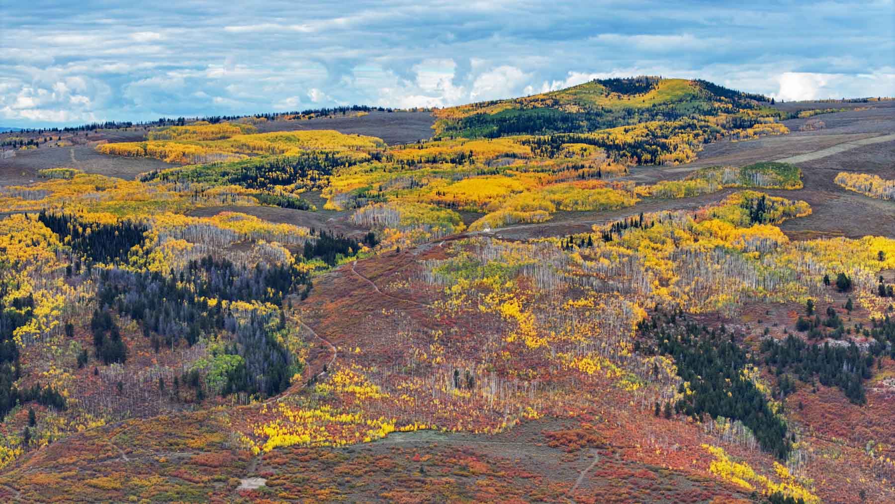 Royal Elk Ranch property picture 21 of 66