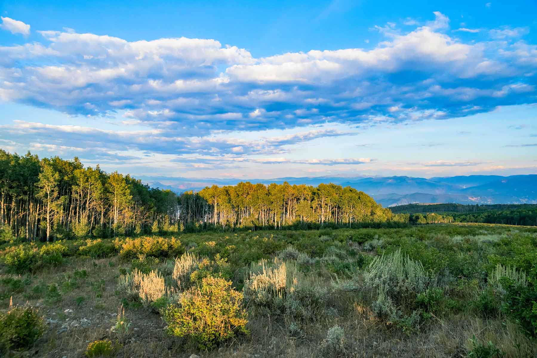 Royal Elk Ranch property picture 44 of 66