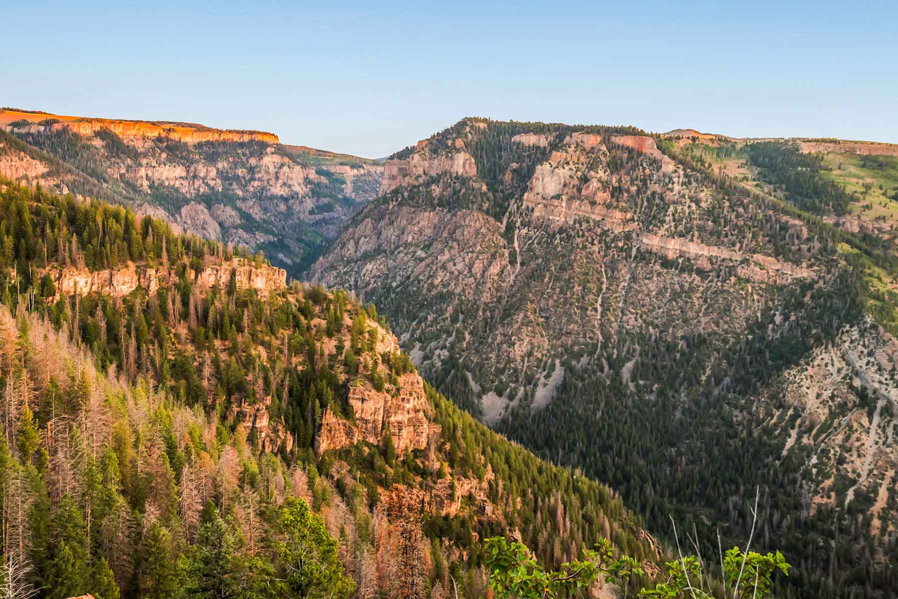 Royal Elk Ranch property picture 30 of 66