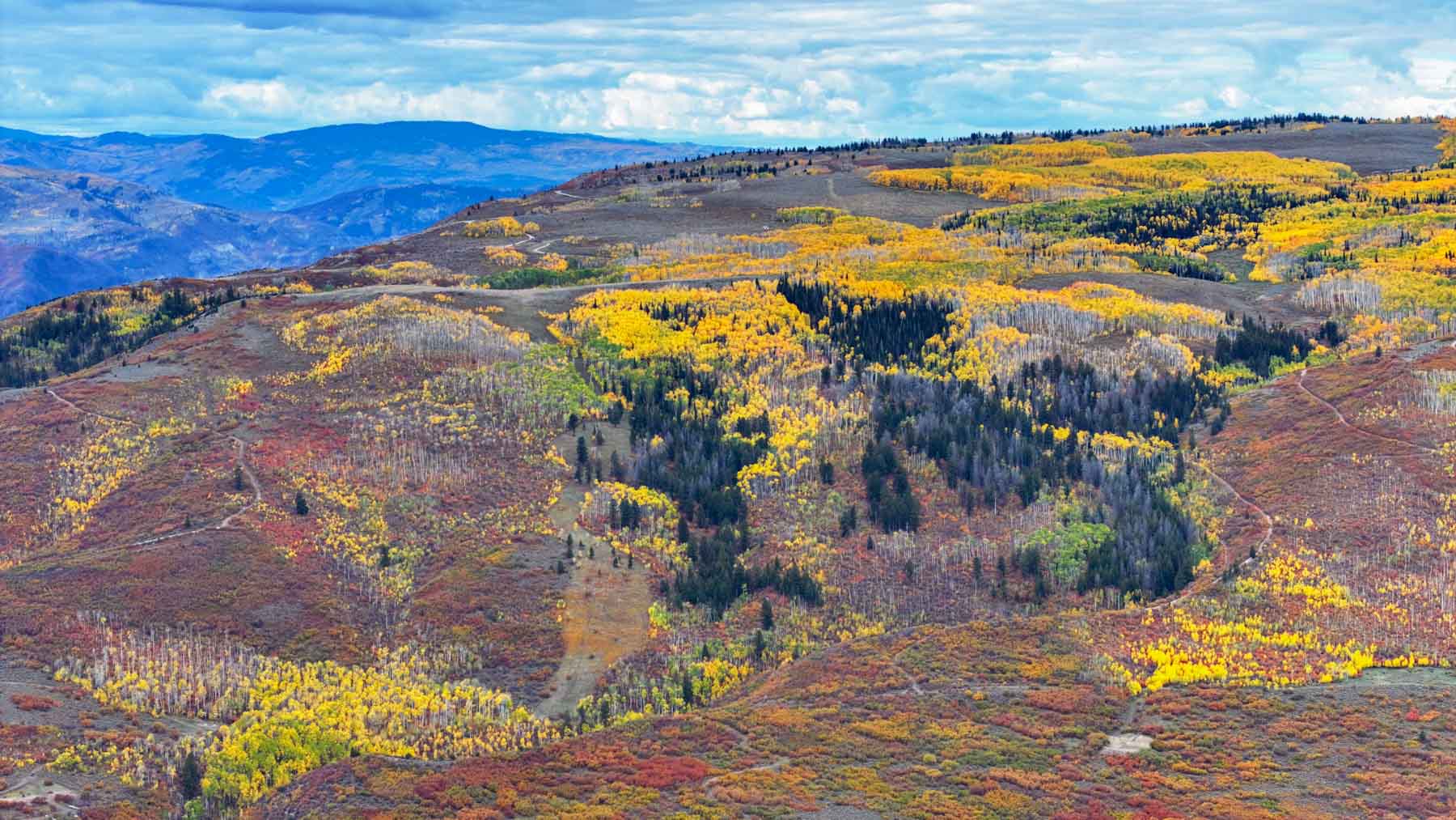 Royal Elk Ranch property picture 65 of 66