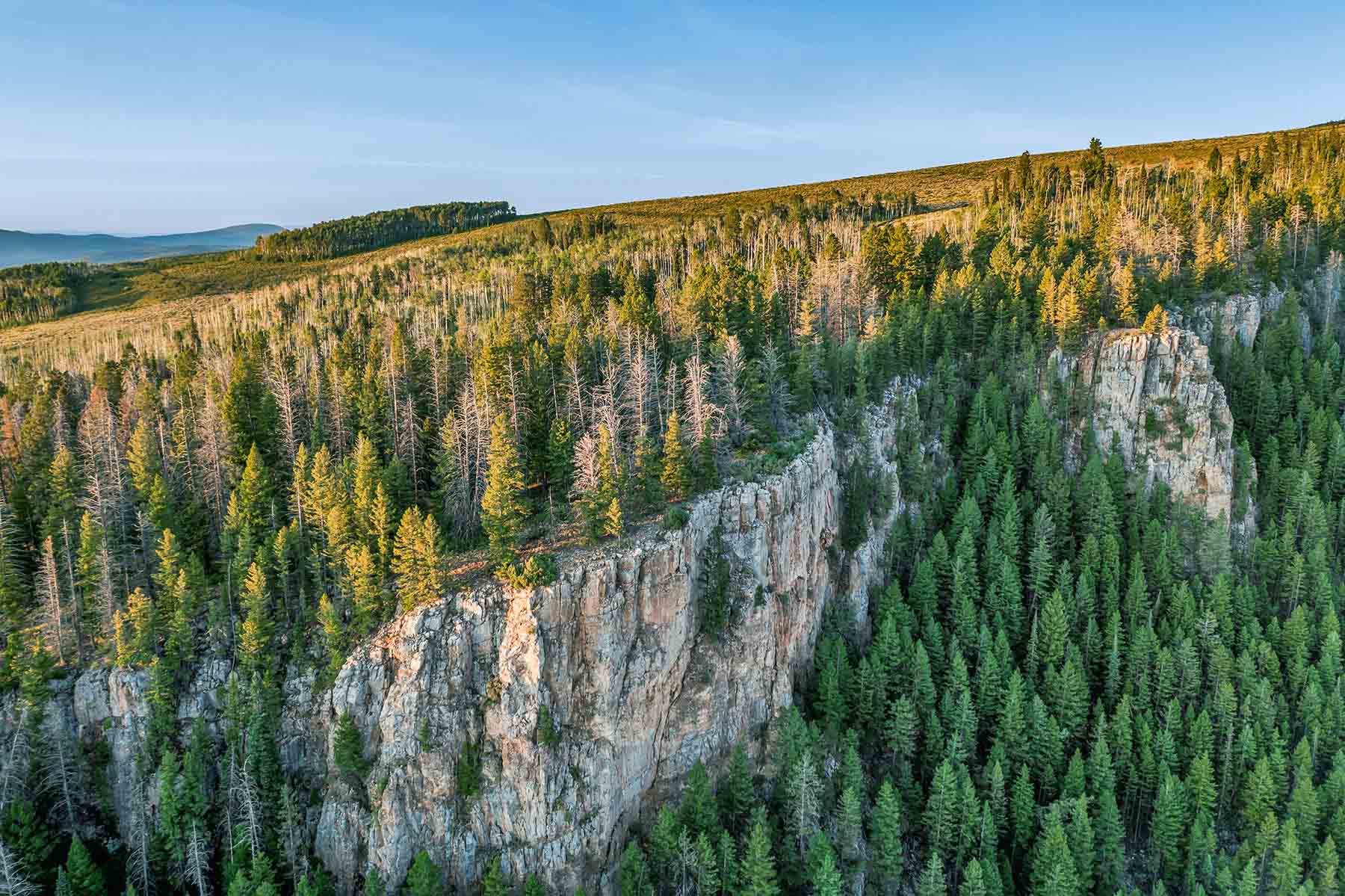 Royal Elk Ranch property picture 25 of 66