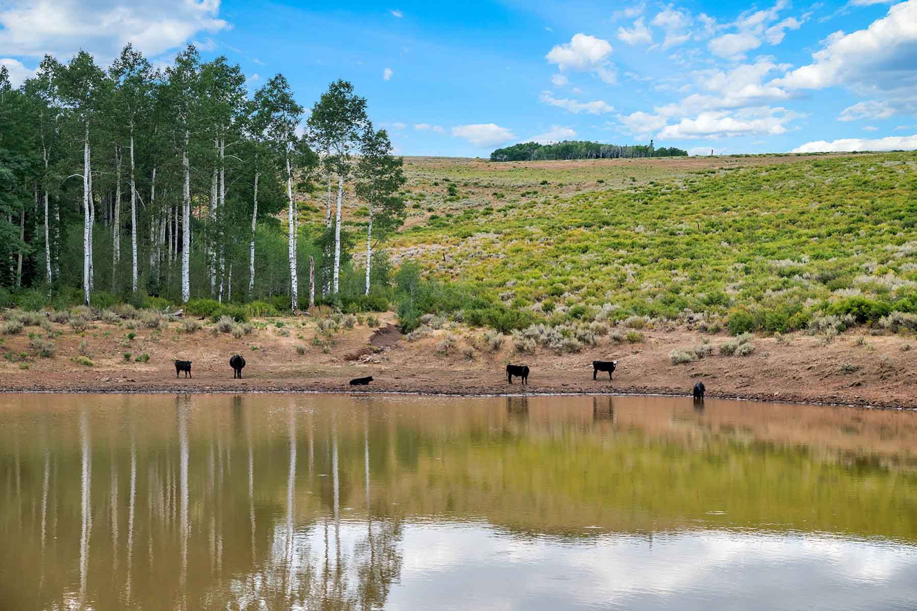 Royal Elk Ranch property picture 32 of 66