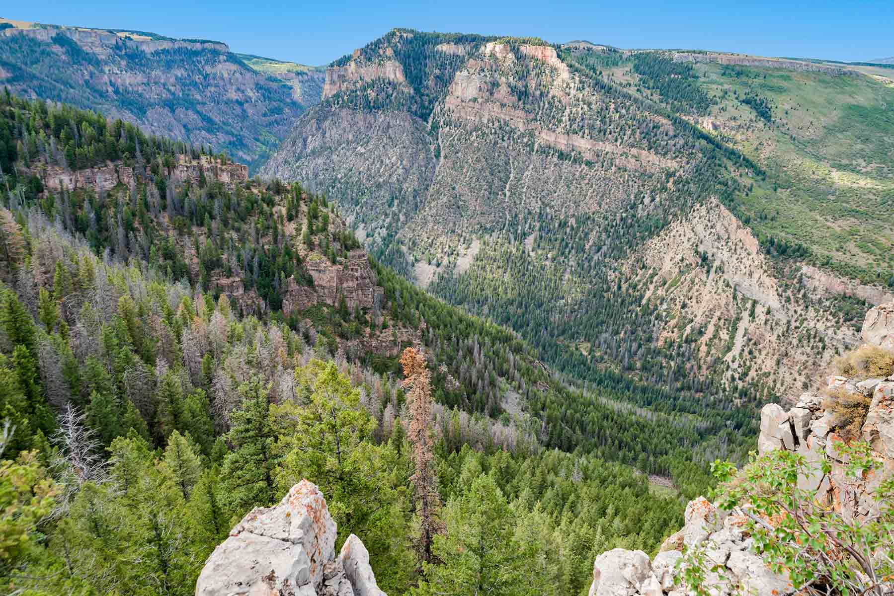 Royal Elk Ranch property picture 36 of 66