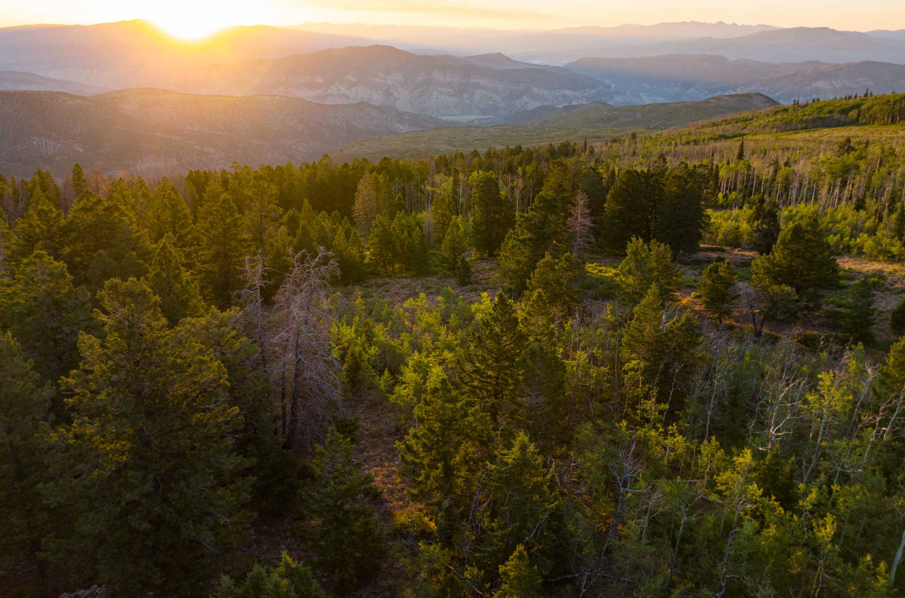 Royal Elk Ranch property picture 17 of 66