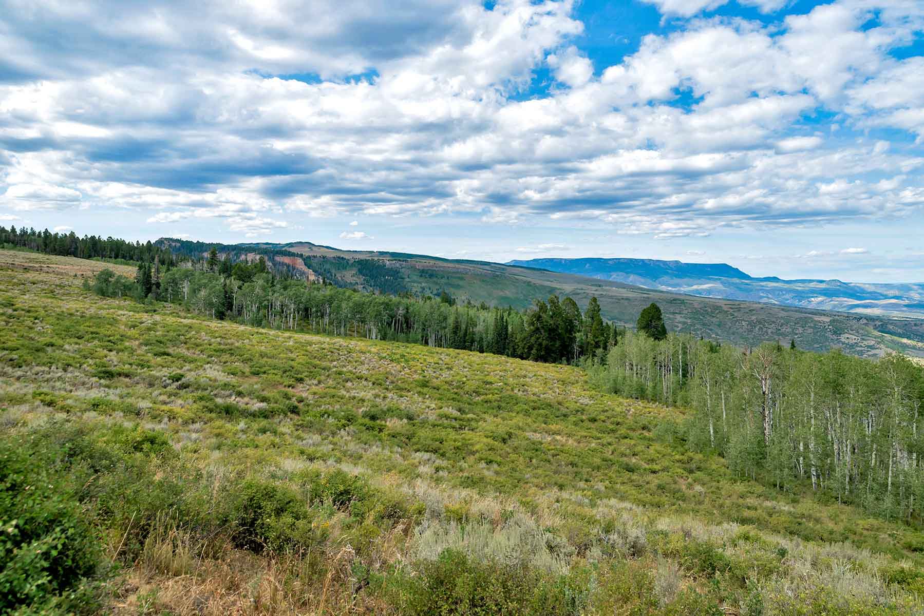 Royal Elk Ranch property picture 35 of 66