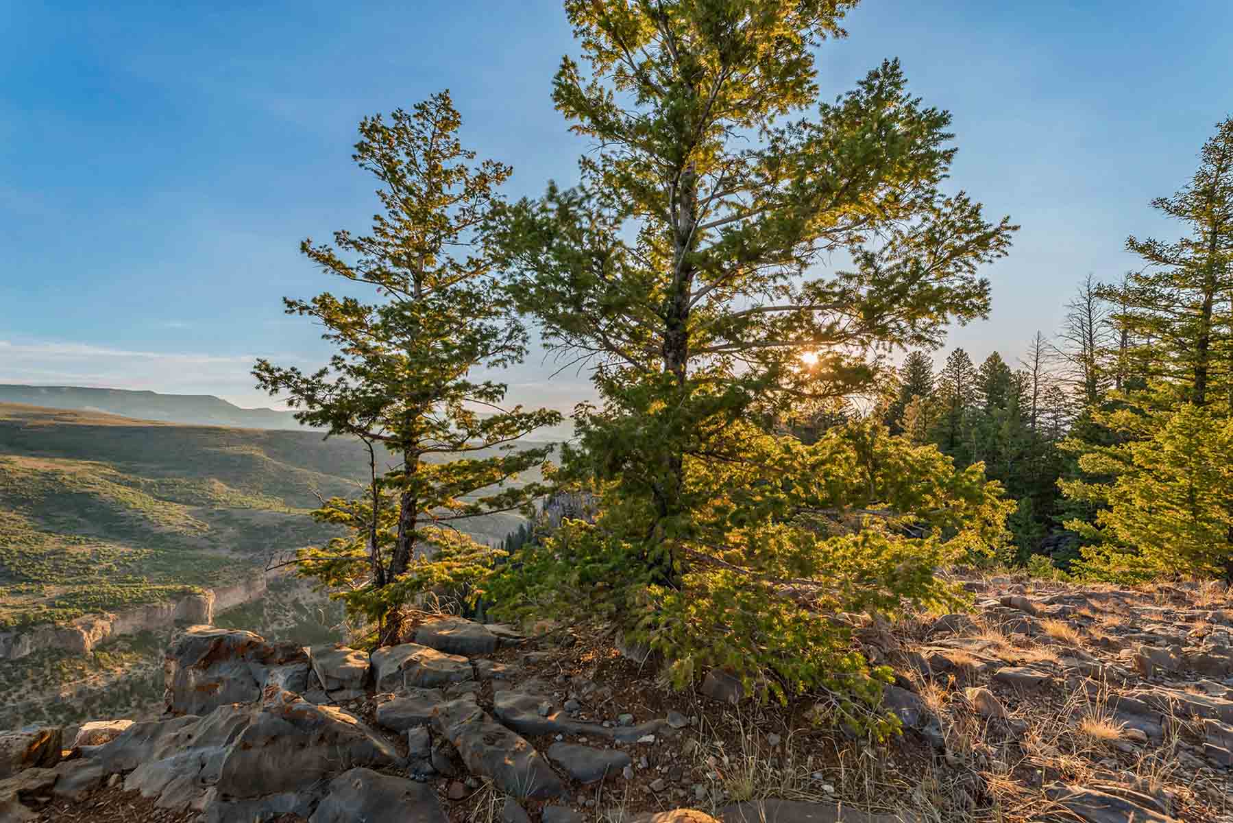 Royal Elk Ranch property picture 52 of 66