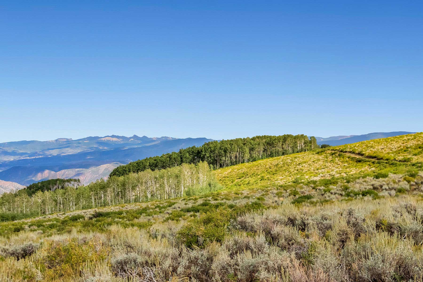 Royal Elk Ranch property picture 54 of 66