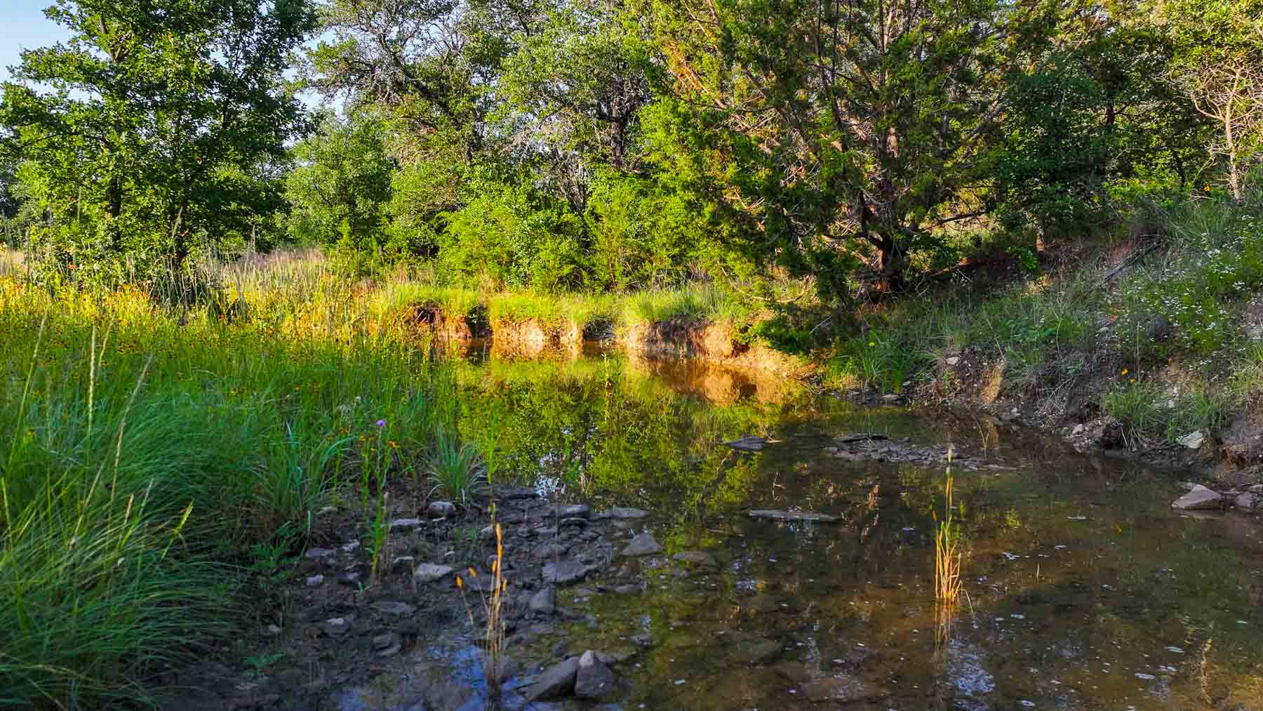 Triple J Ranch property picture 24 of 49