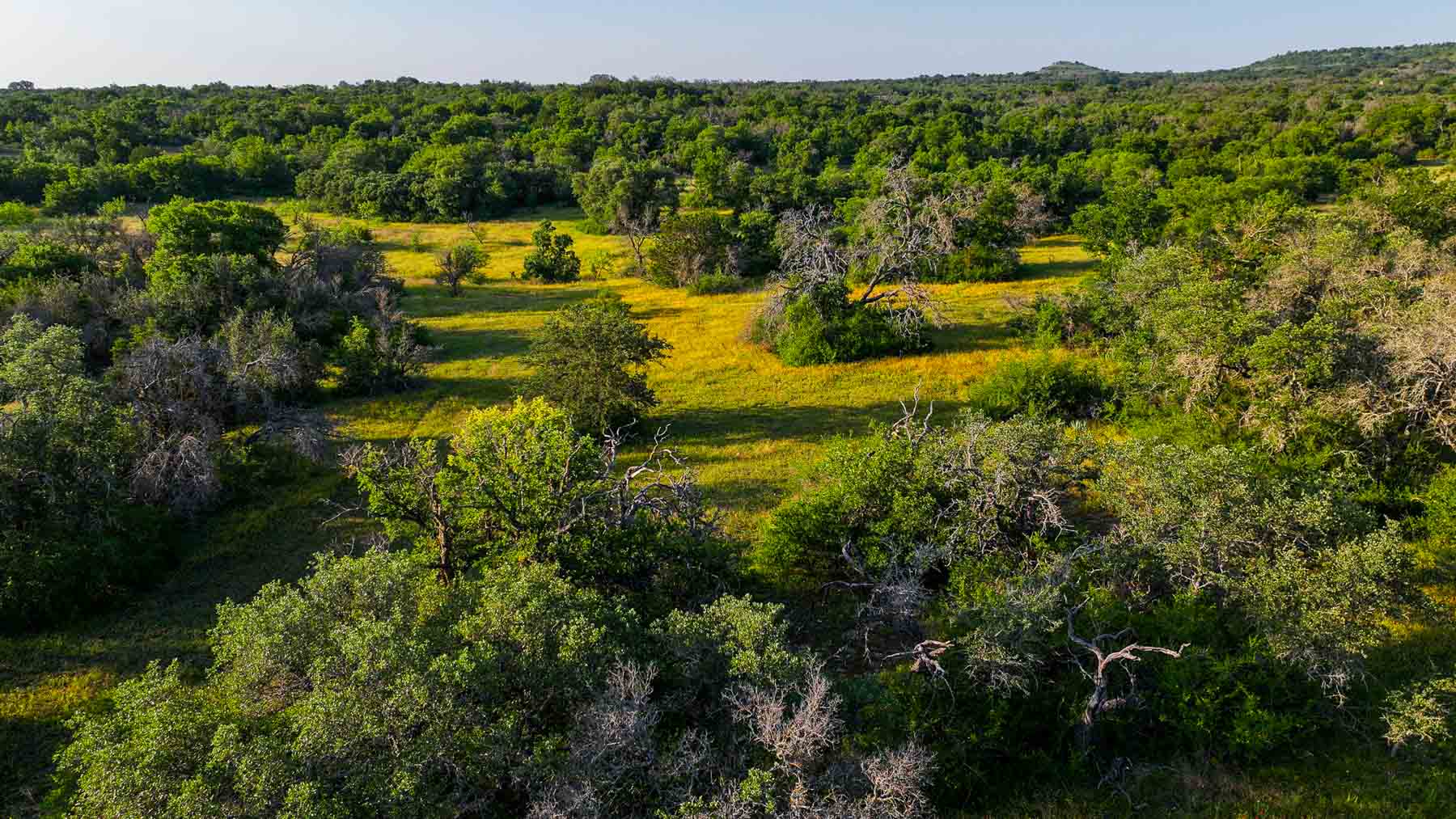 Triple J Ranch property picture 23 of 49