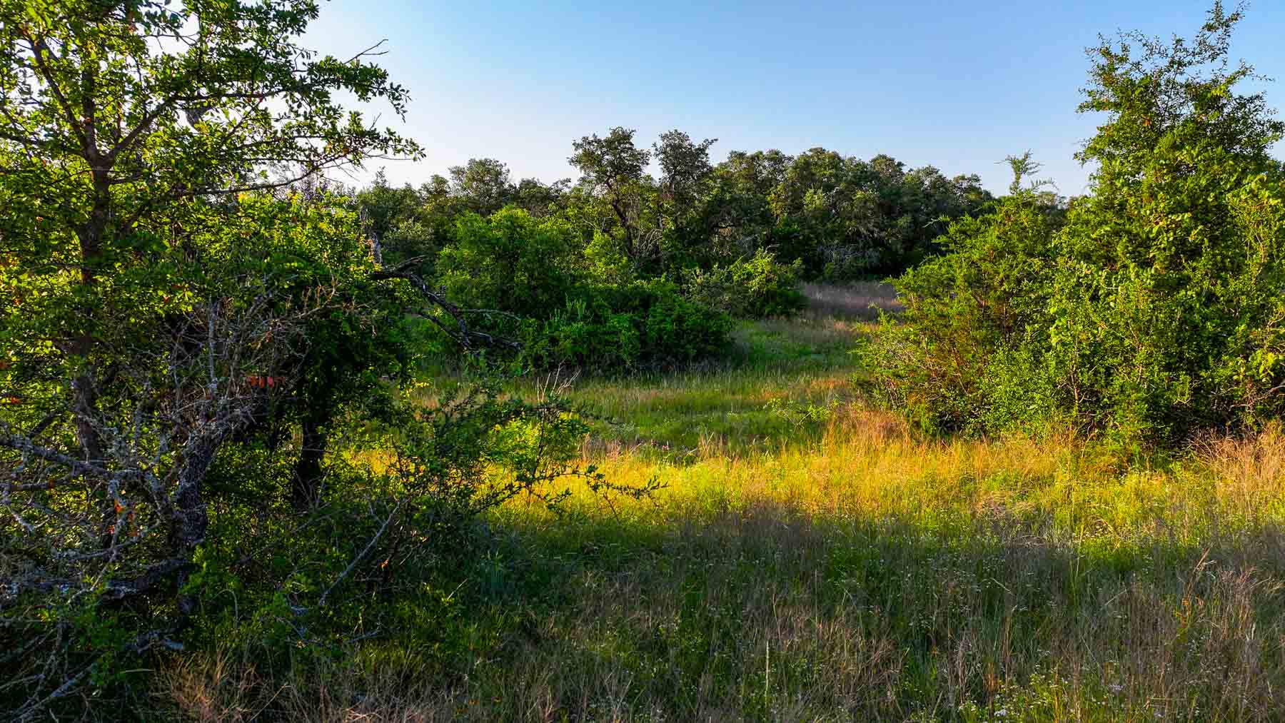 Triple J Ranch property picture 21 of 49