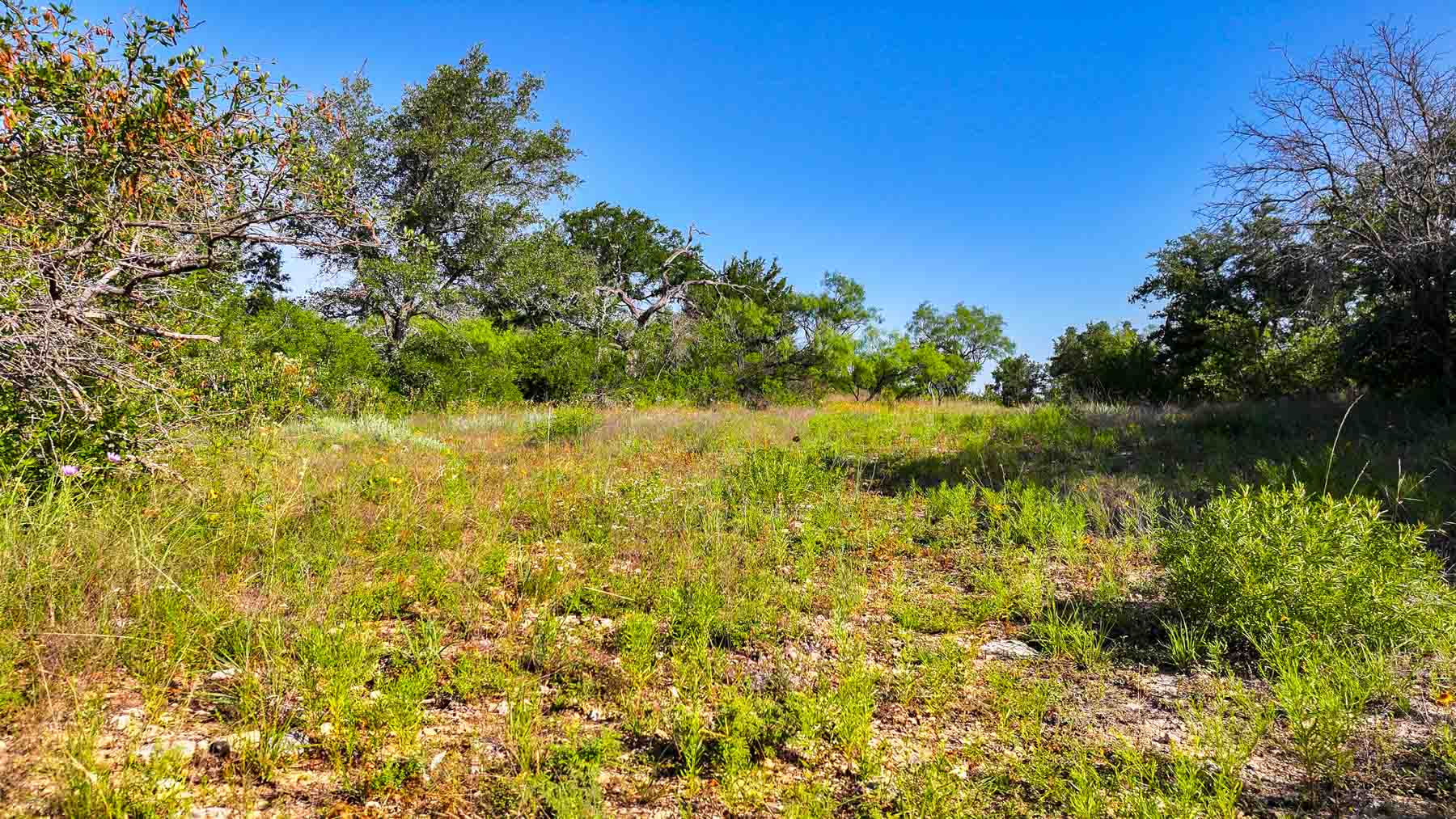 Triple J Ranch property picture 47 of 49