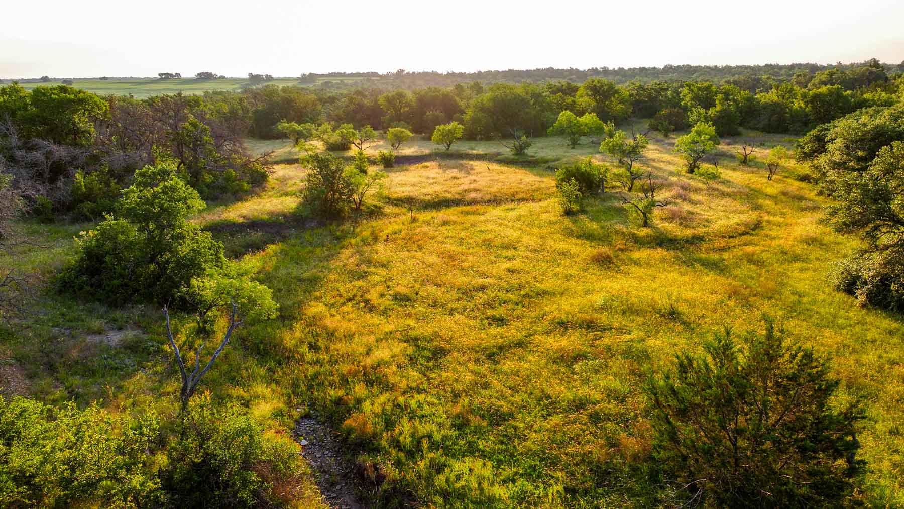 Triple J Ranch property picture 9 of 49