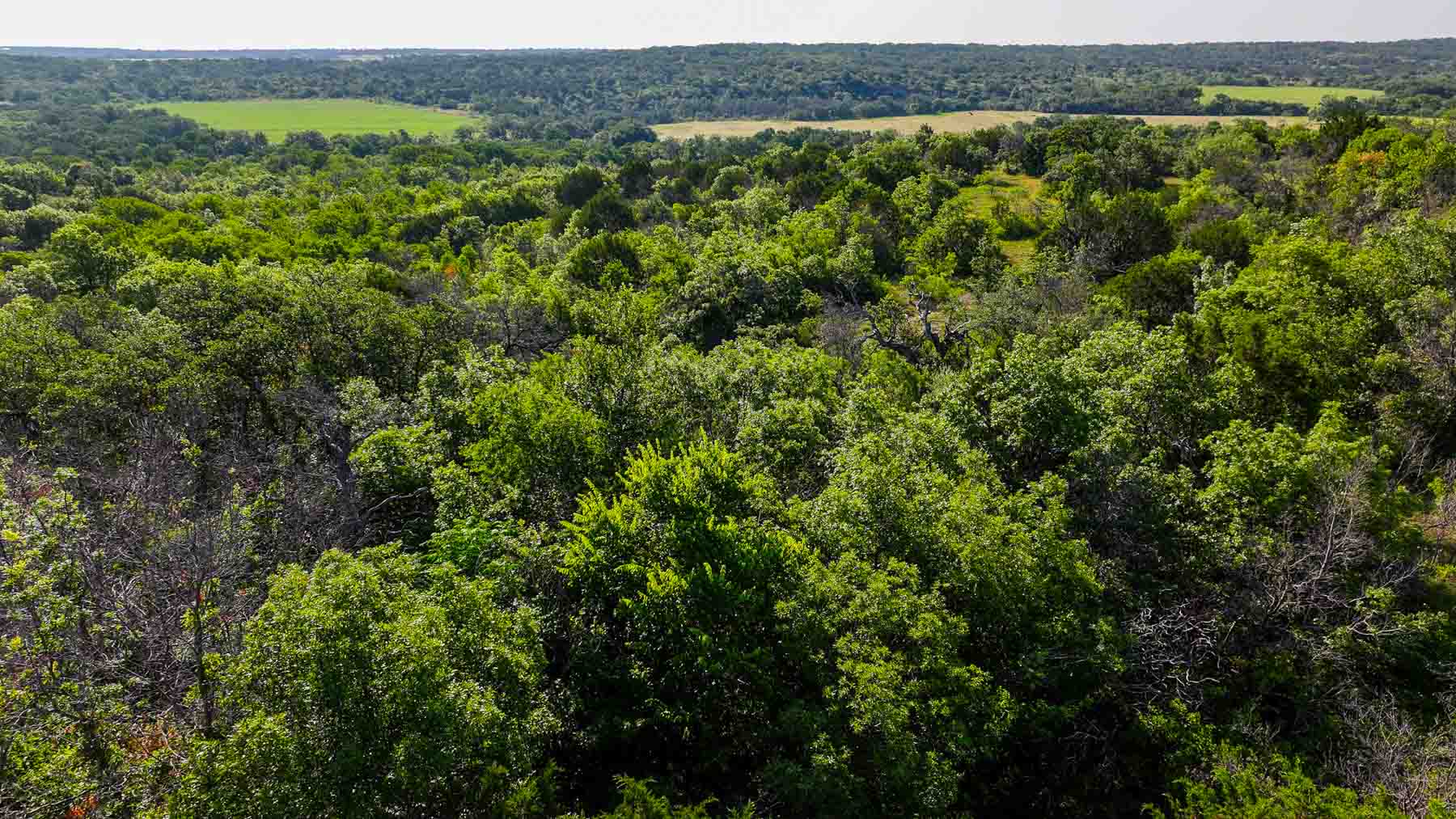 Triple J Ranch property picture 45 of 49