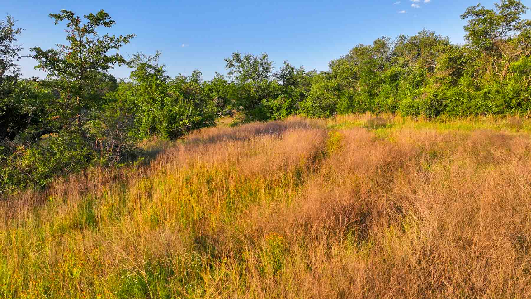 Triple J Ranch property picture 20 of 49