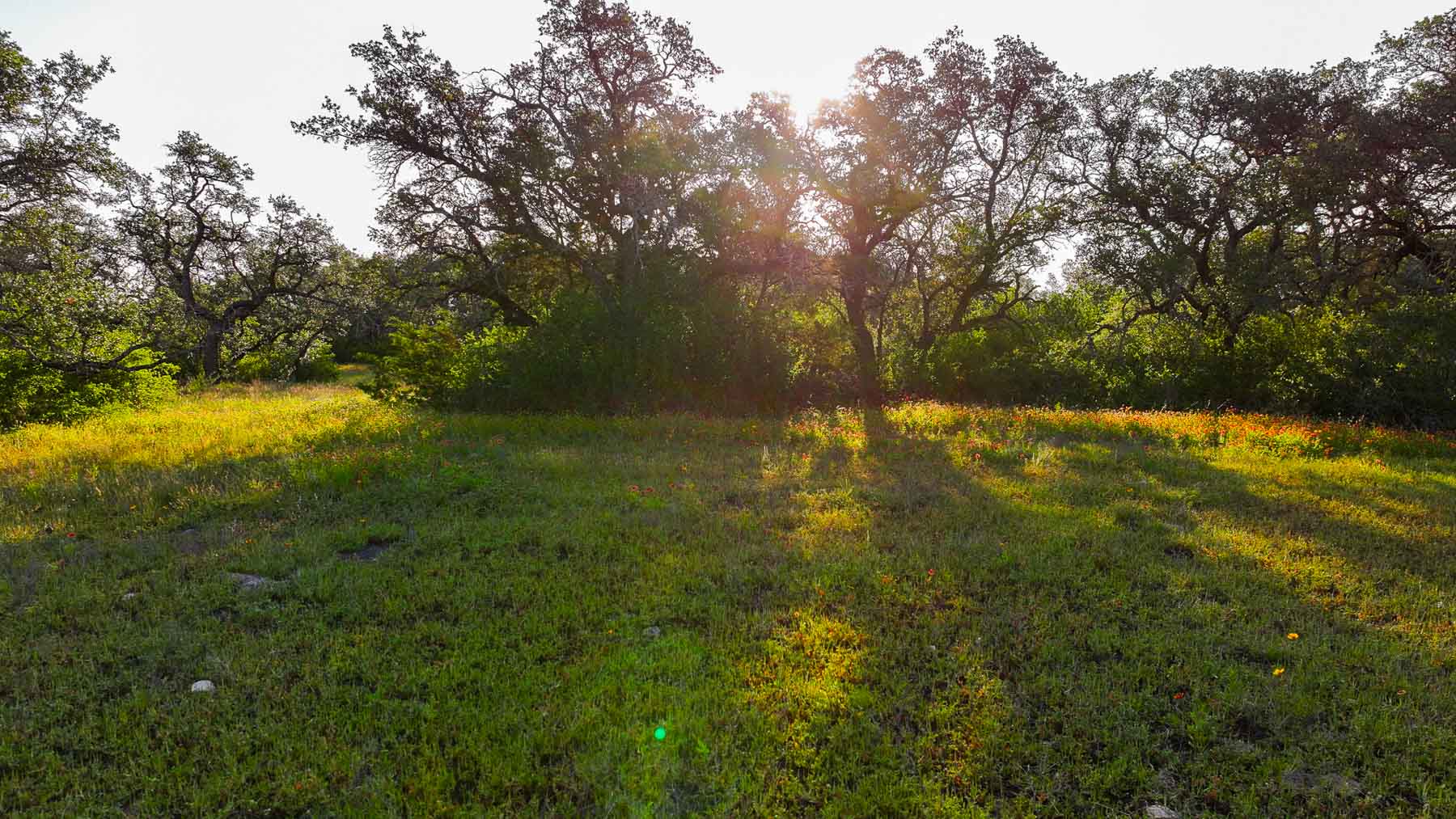 Triple J Ranch property picture 22 of 49