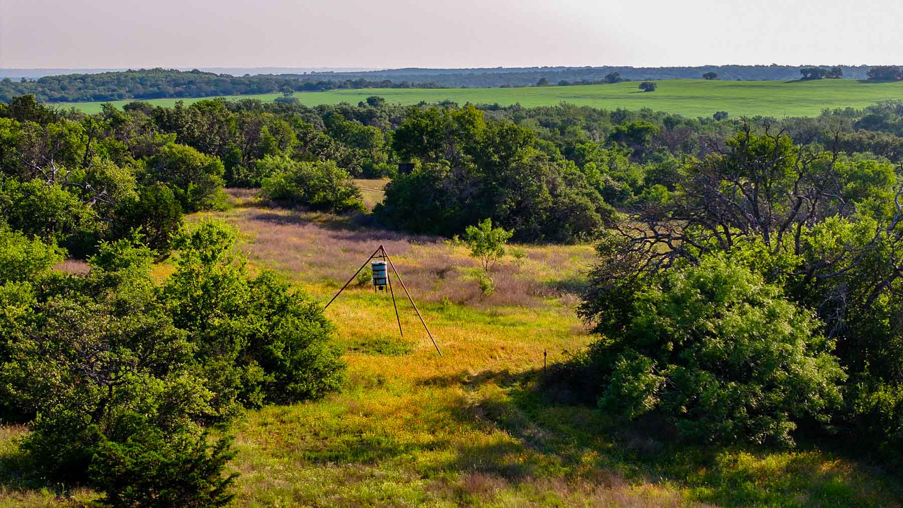 Triple J Ranch property picture 32 of 49