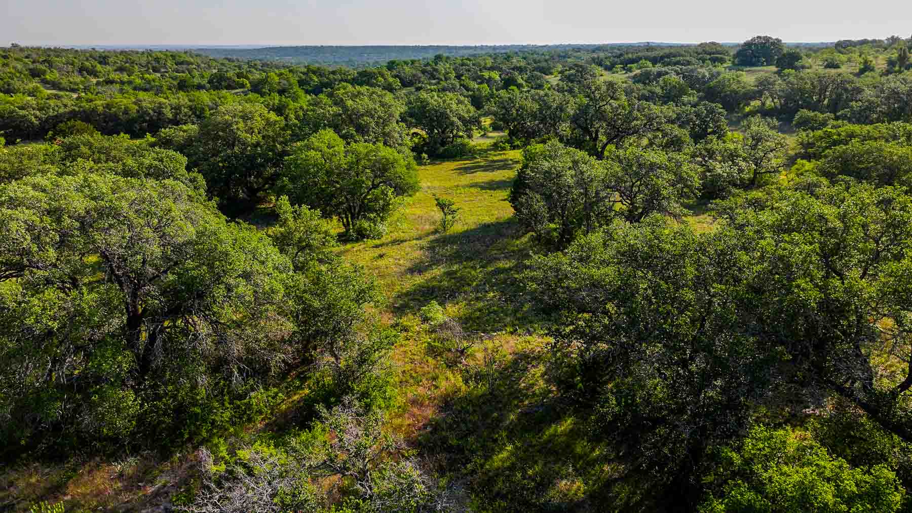 Triple J Ranch property picture 34 of 49