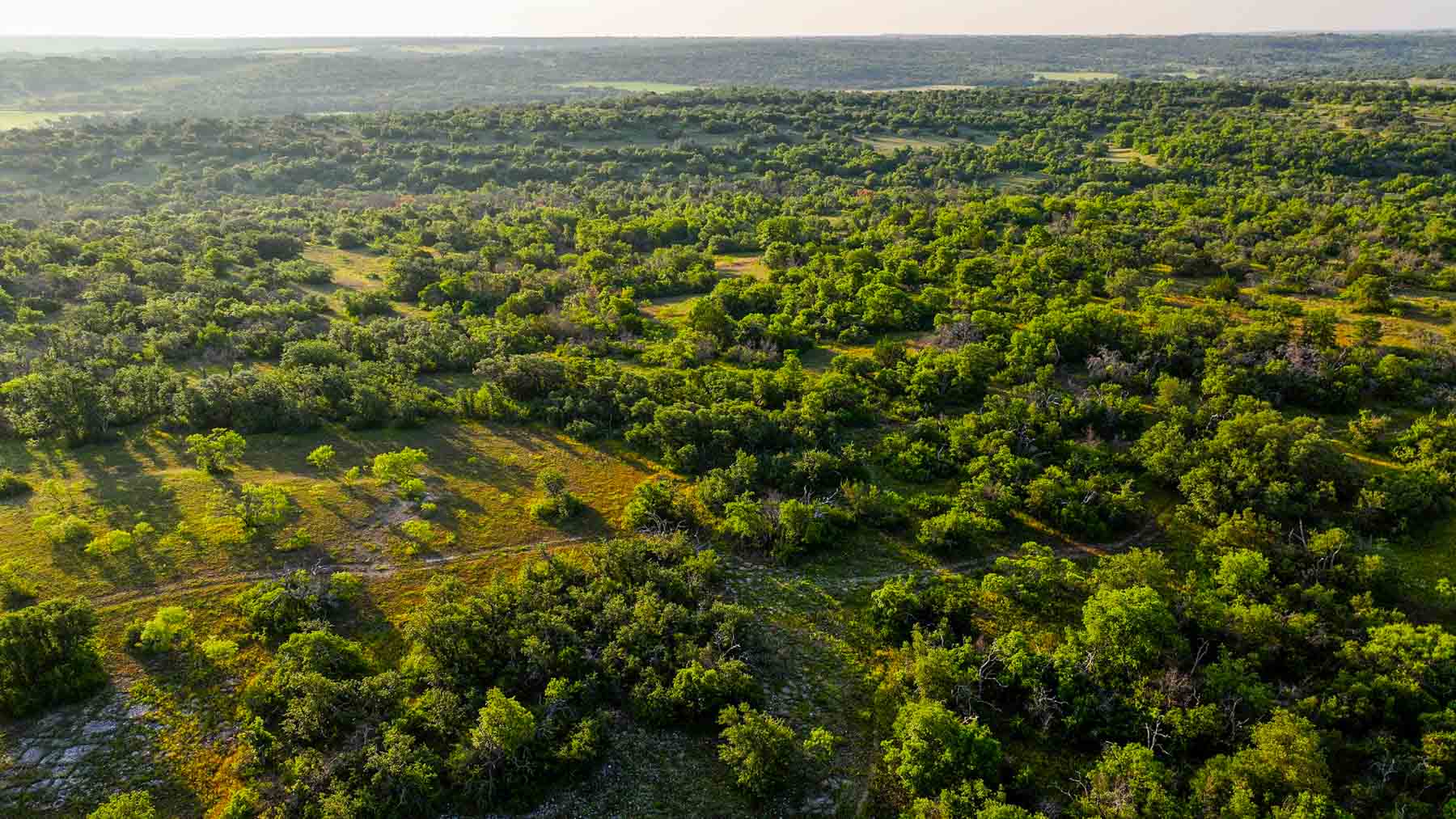 Triple J Ranch property picture 18 of 49