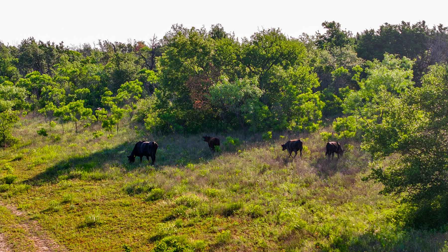 Triple J Ranch property picture 14 of 49