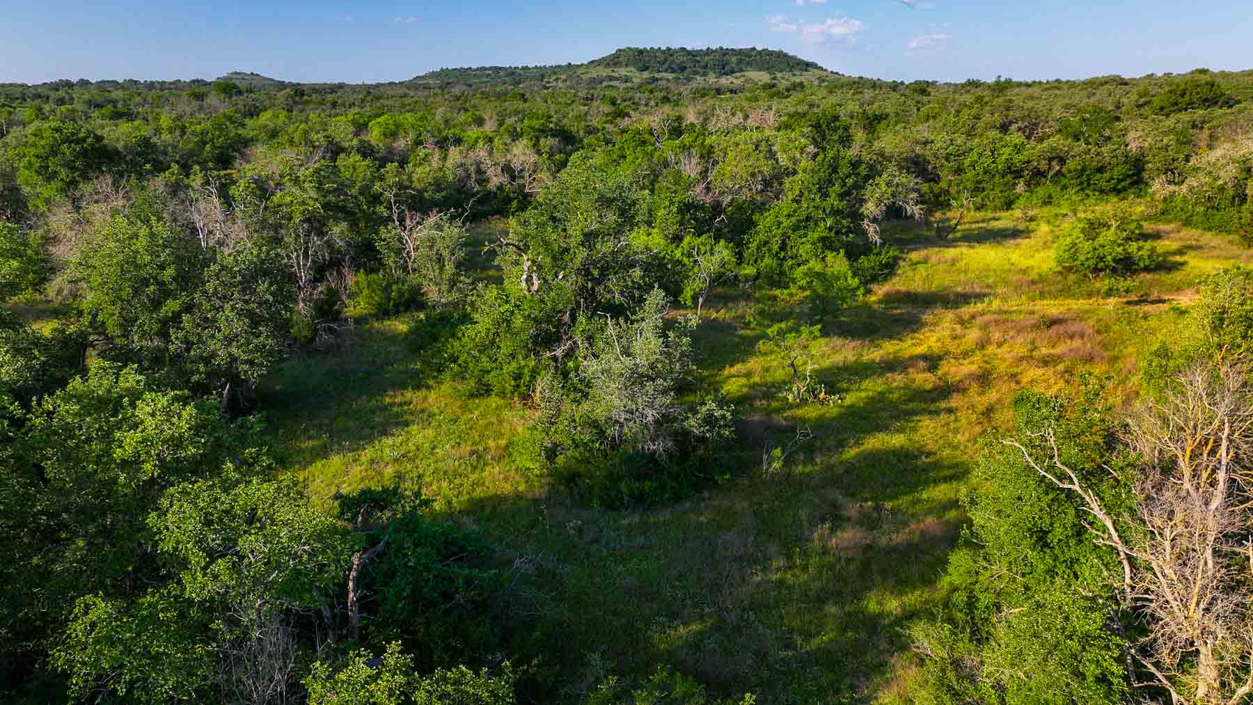 Triple J Ranch property picture 28 of 49