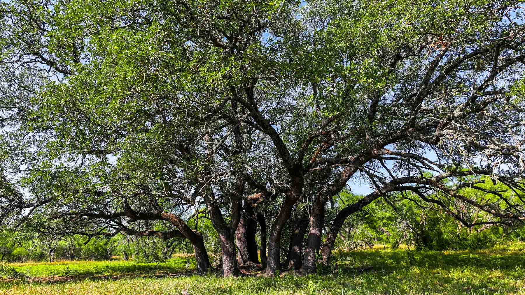 Triple J Ranch property picture 37 of 49