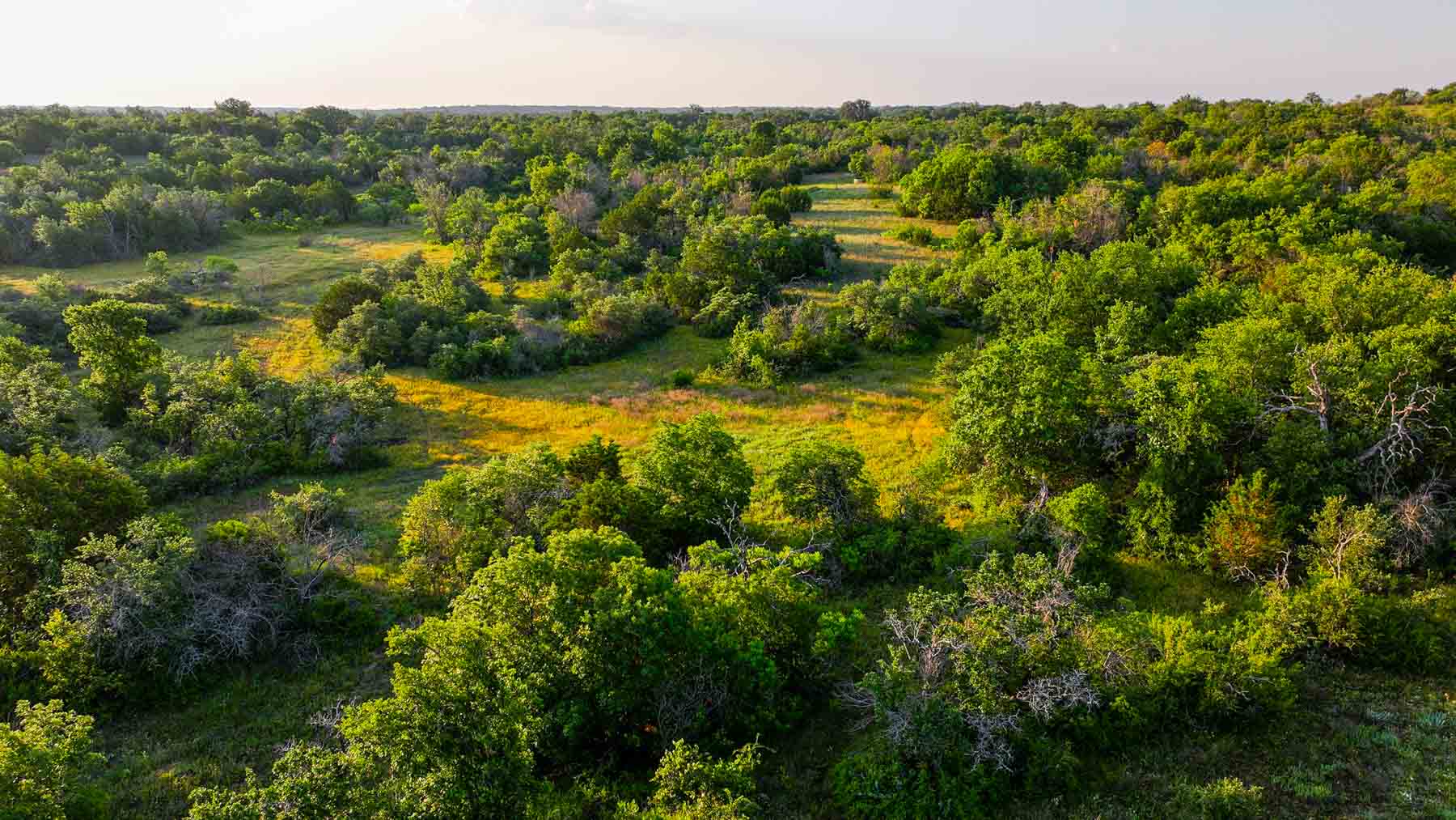 Triple J Ranch property picture 10 of 49