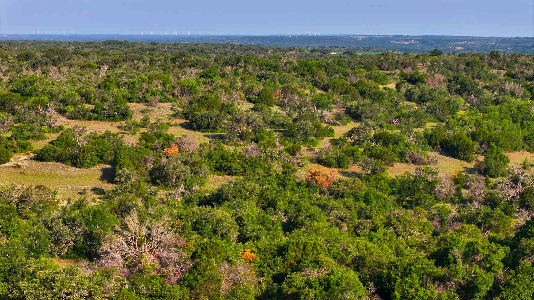 Triple J Ranch property picture 35 of 49