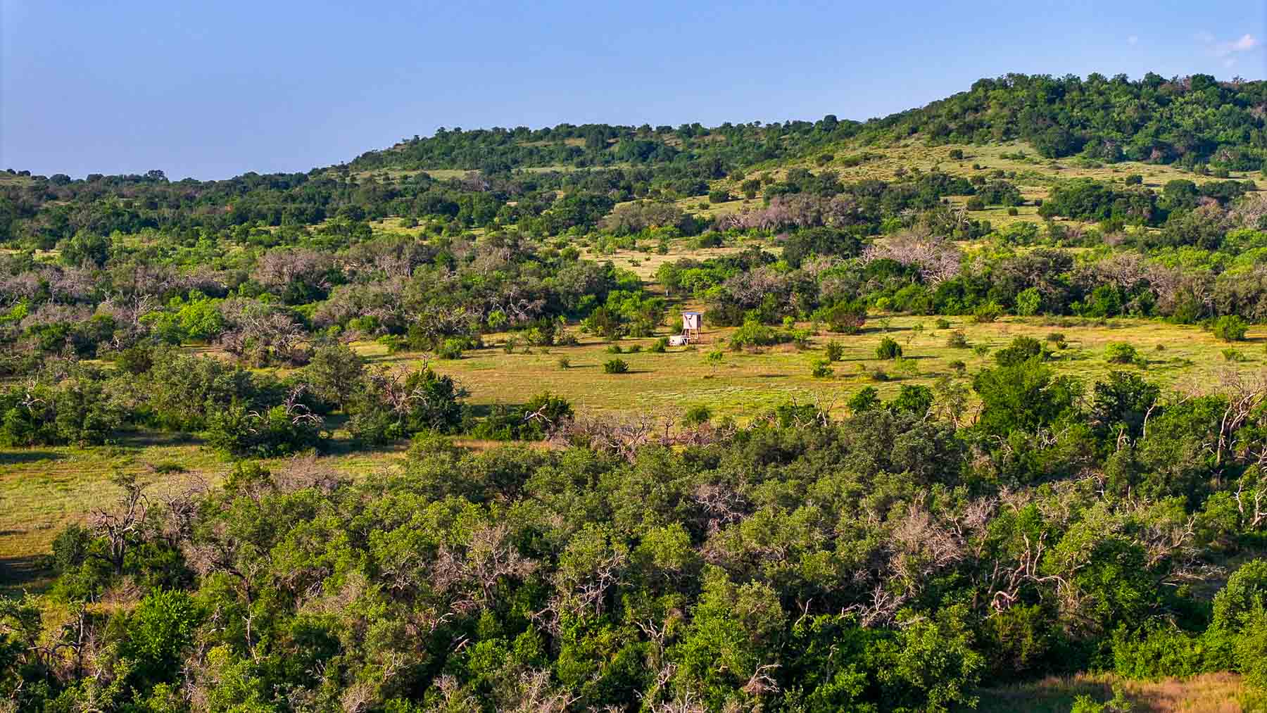 Triple J Ranch property picture 30 of 49