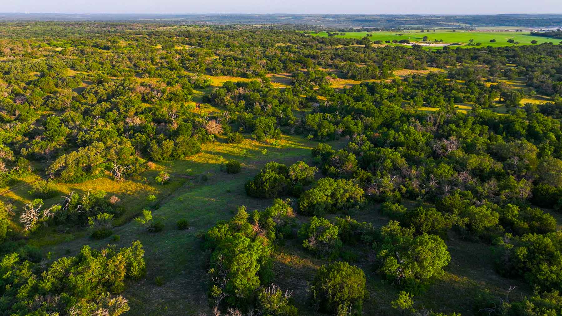 Triple J Ranch property picture 15 of 49