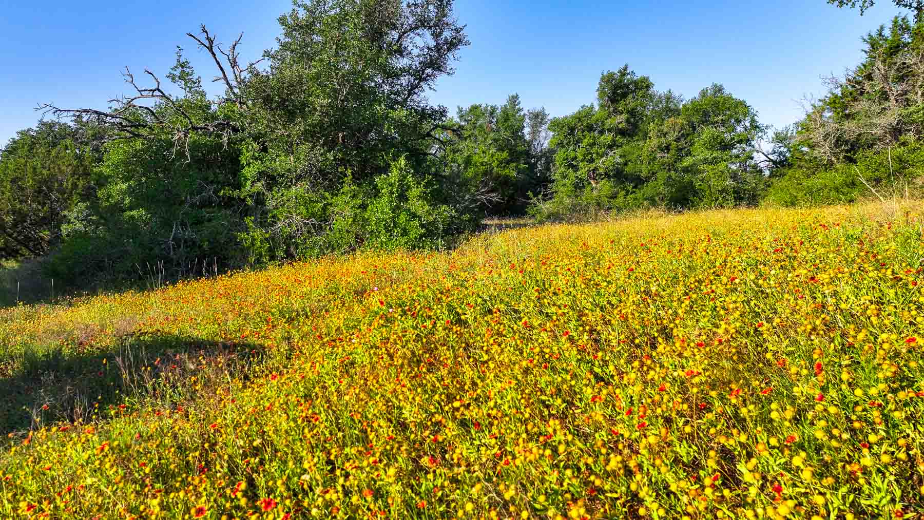 Triple J Ranch property picture 25 of 49