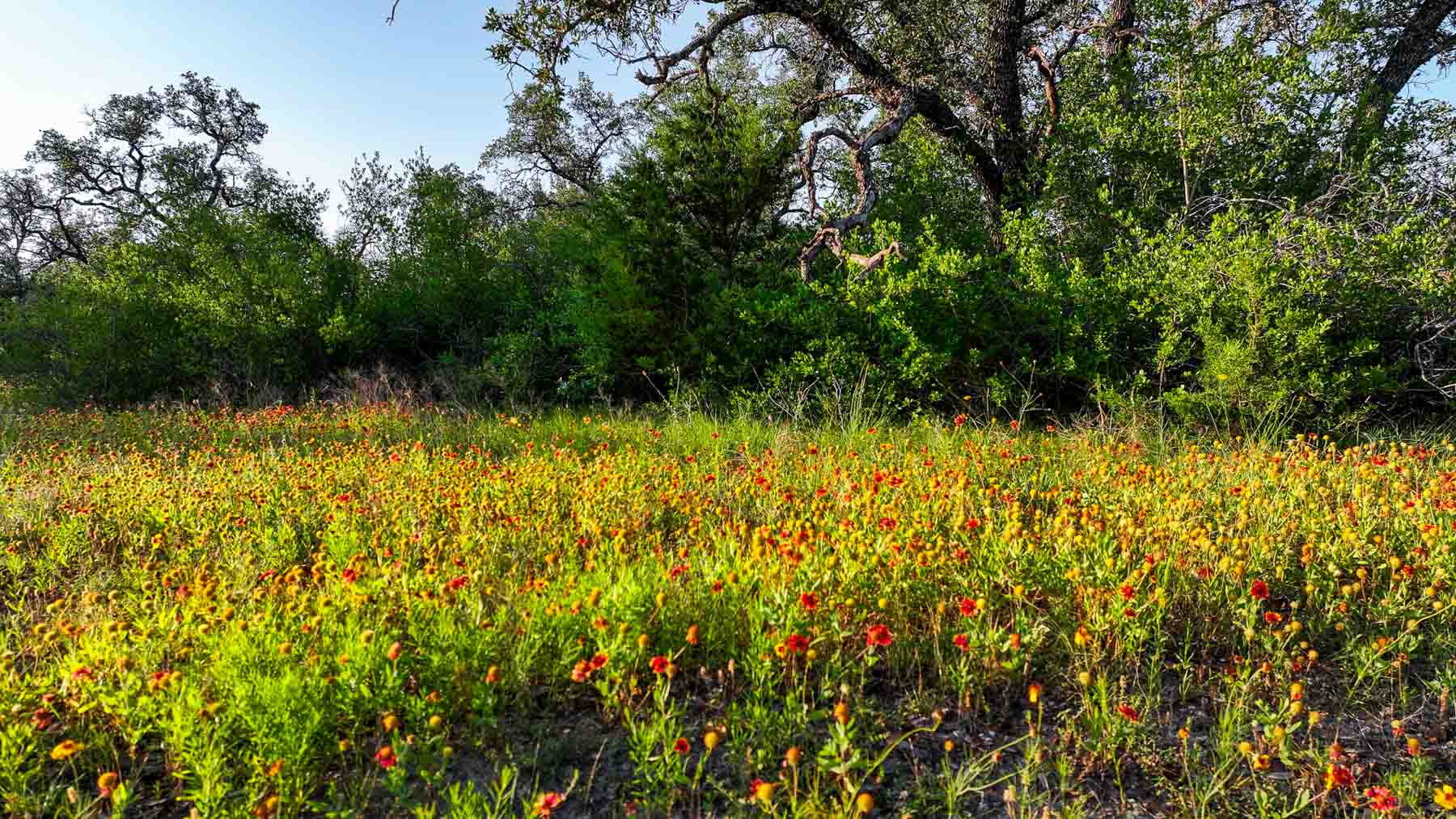 Triple J Ranch property picture 5 of 49