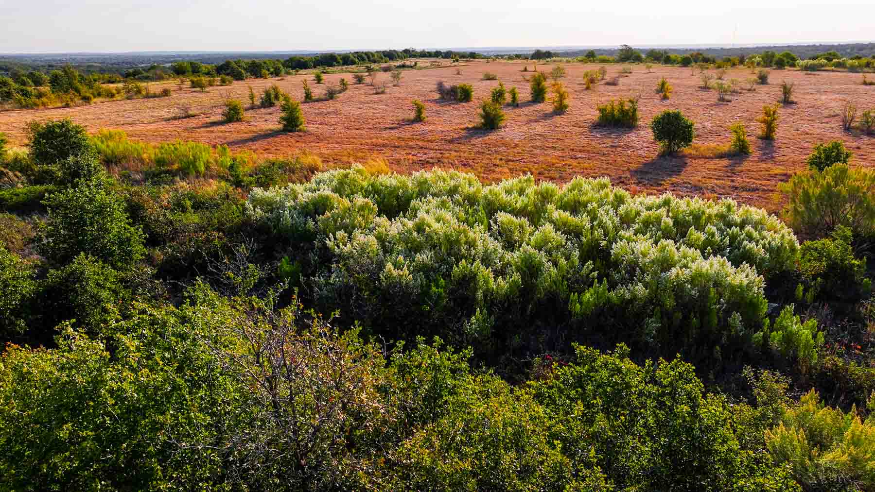 K6+ property picture 39 of 81