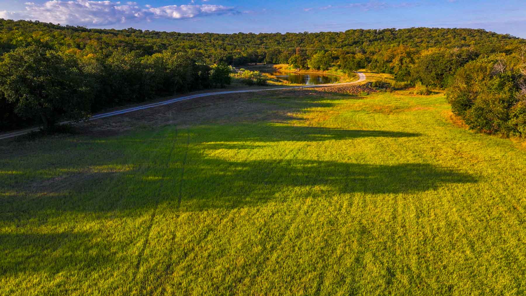 K6+ property picture 68 of 81